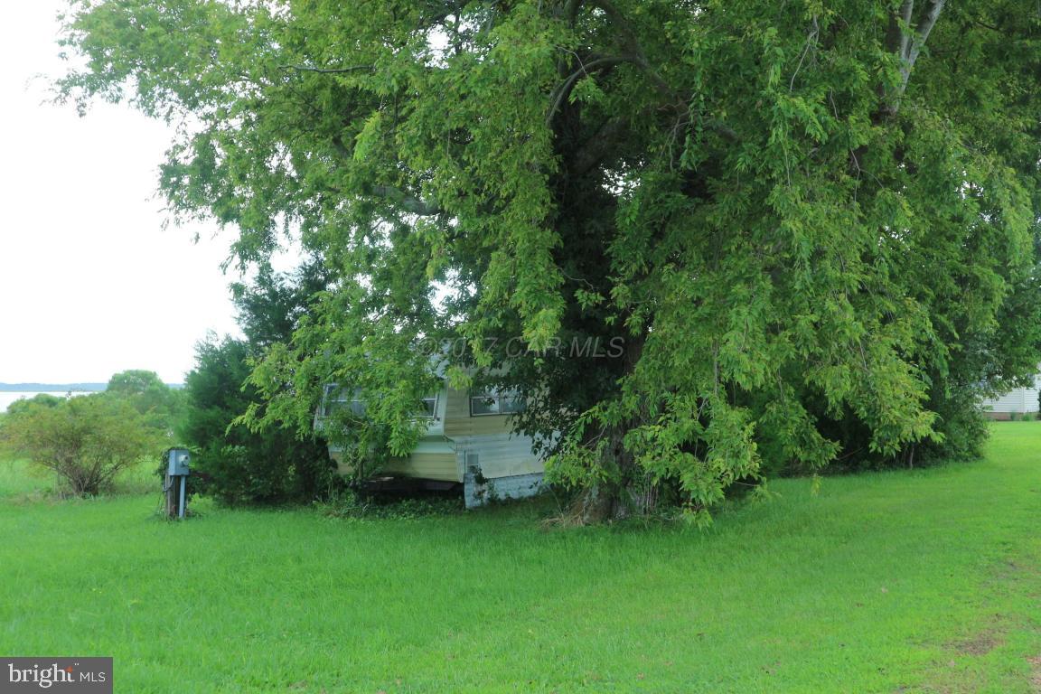 11646 LONG POINT ROAD