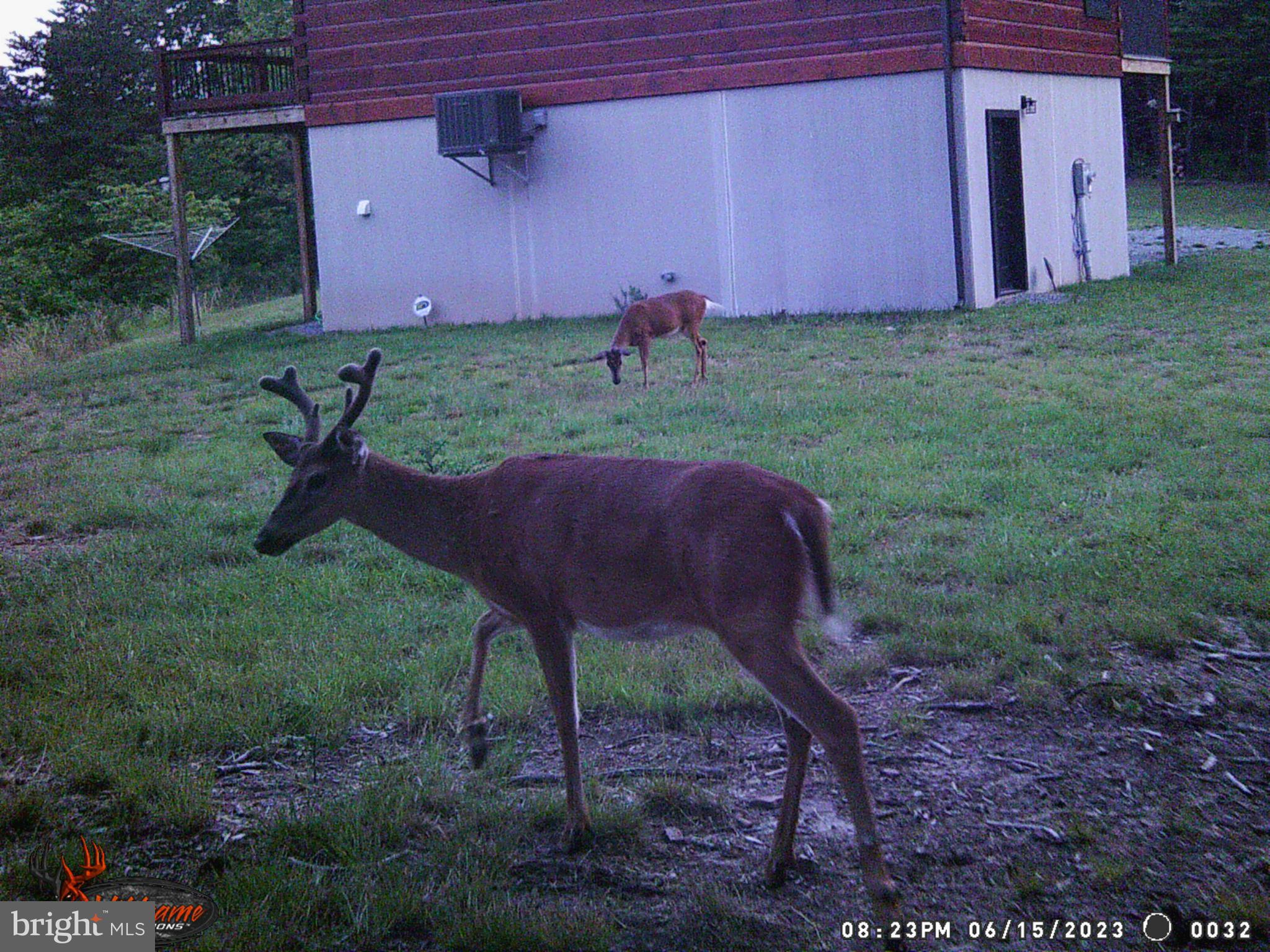 ASHTON WOODS - Residential