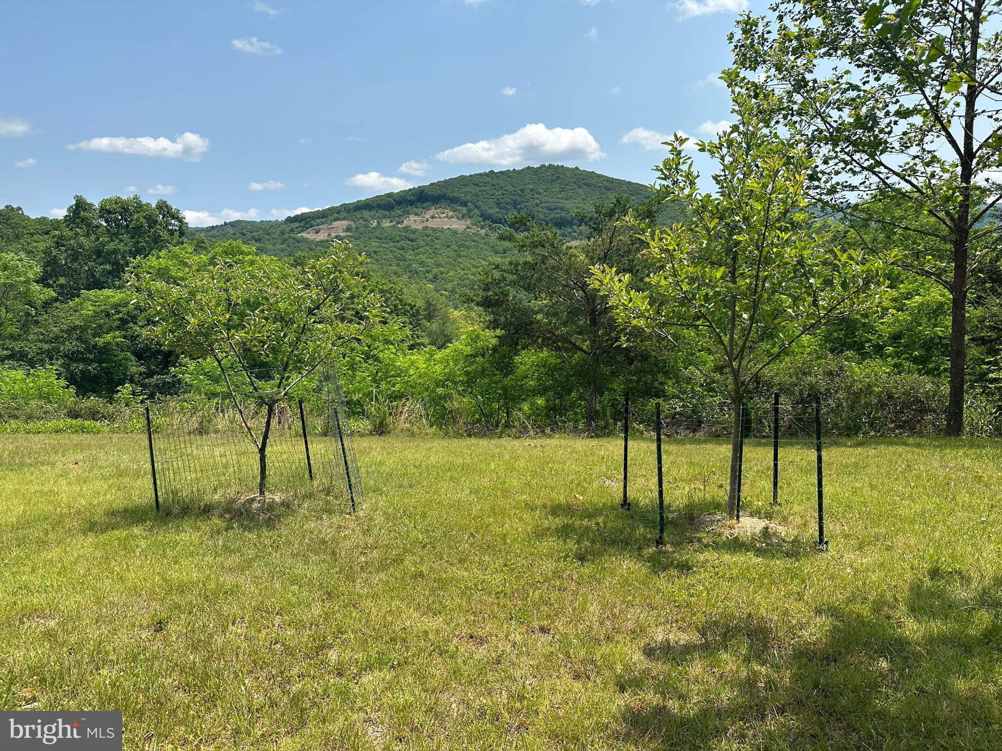 ASHTON WOODS - Residential