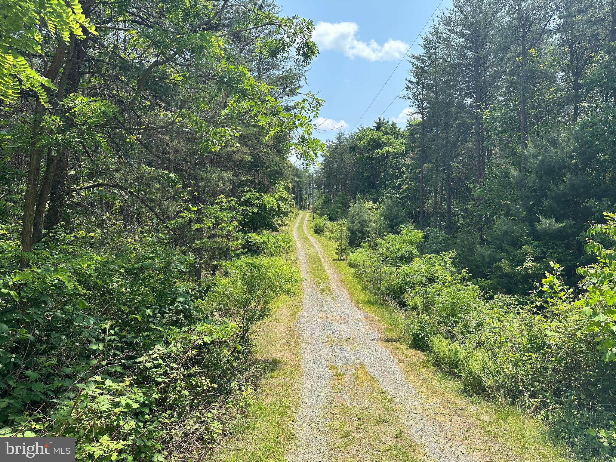 ASHTON WOODS - Residential