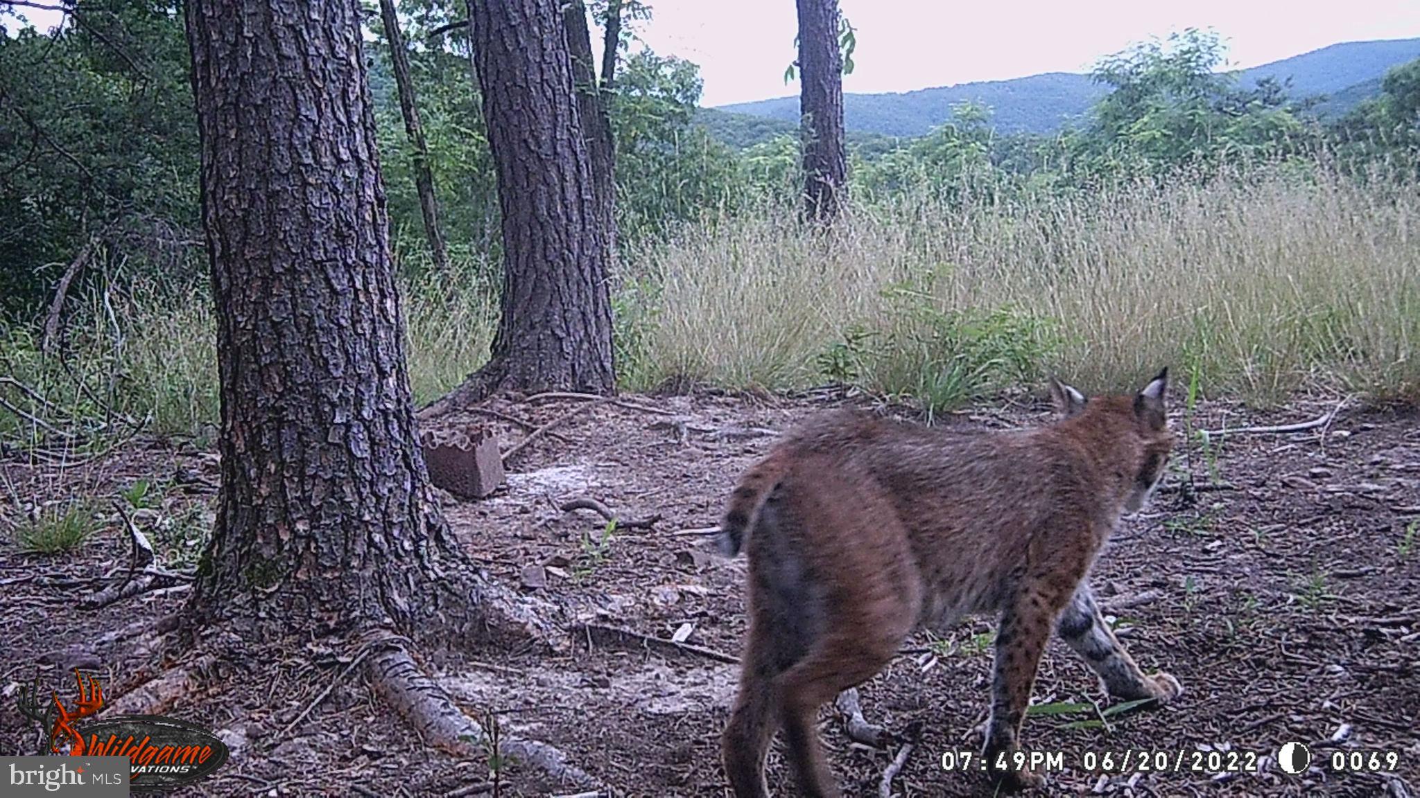 ASHTON WOODS - Residential