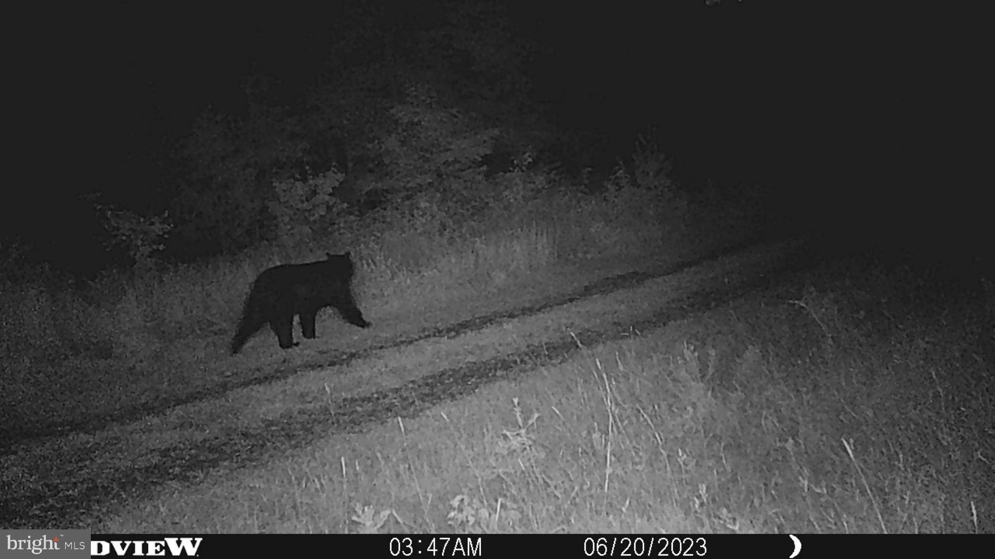 ASHTON WOODS - Residential