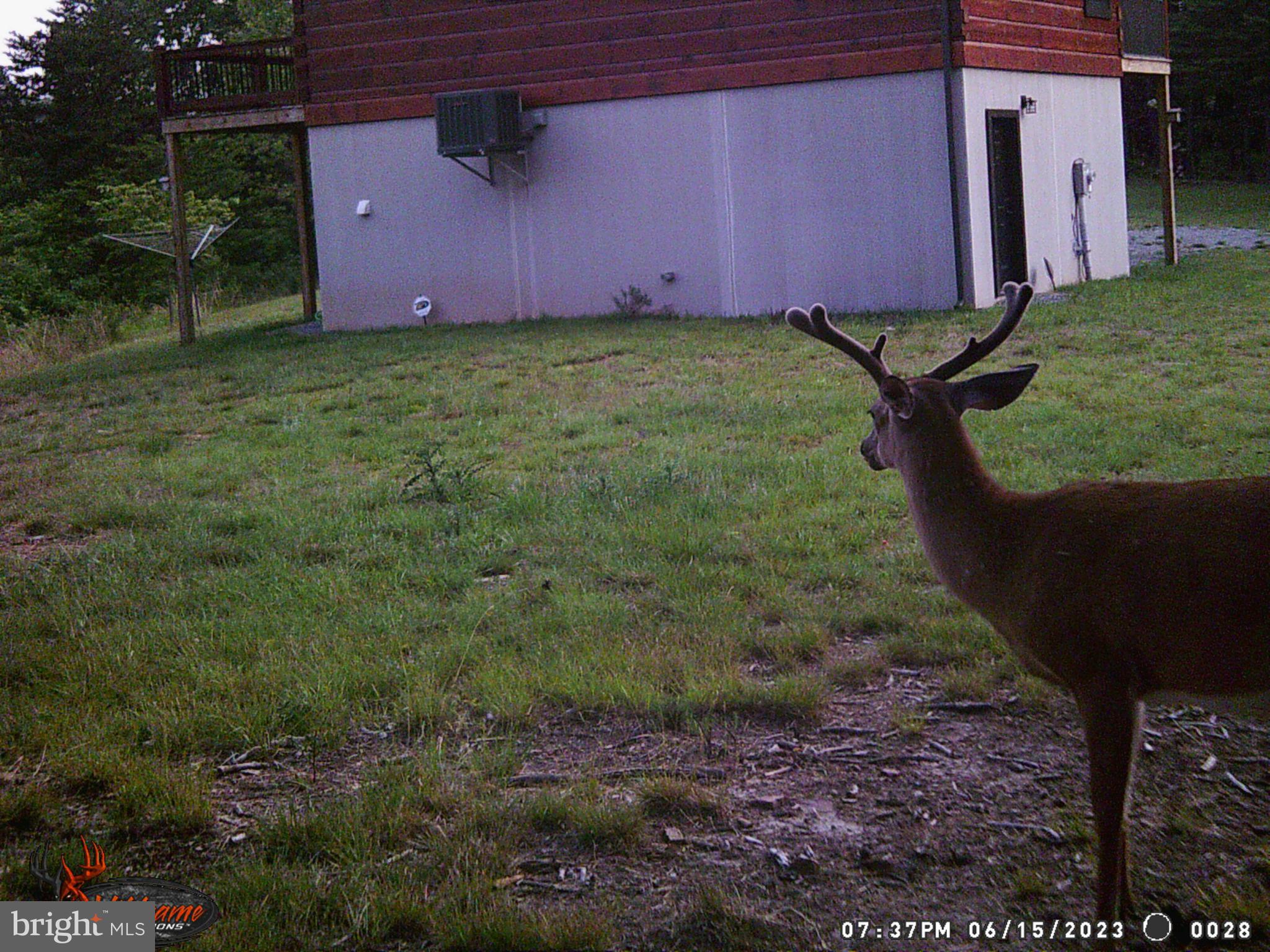 ASHTON WOODS - Residential