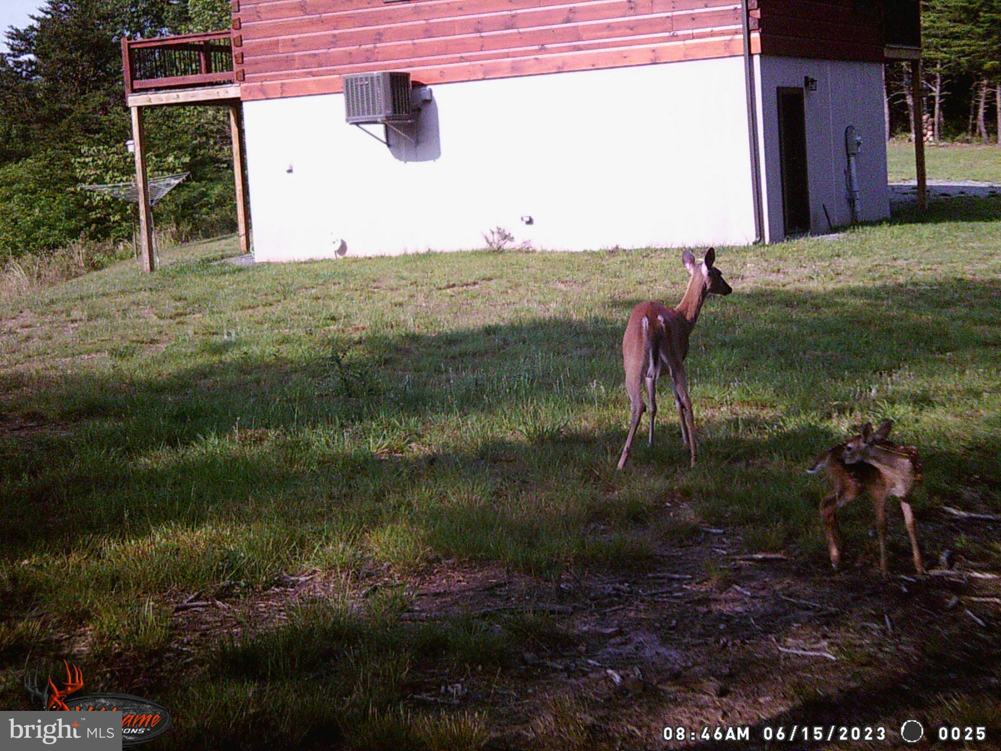 ASHTON WOODS - Residential