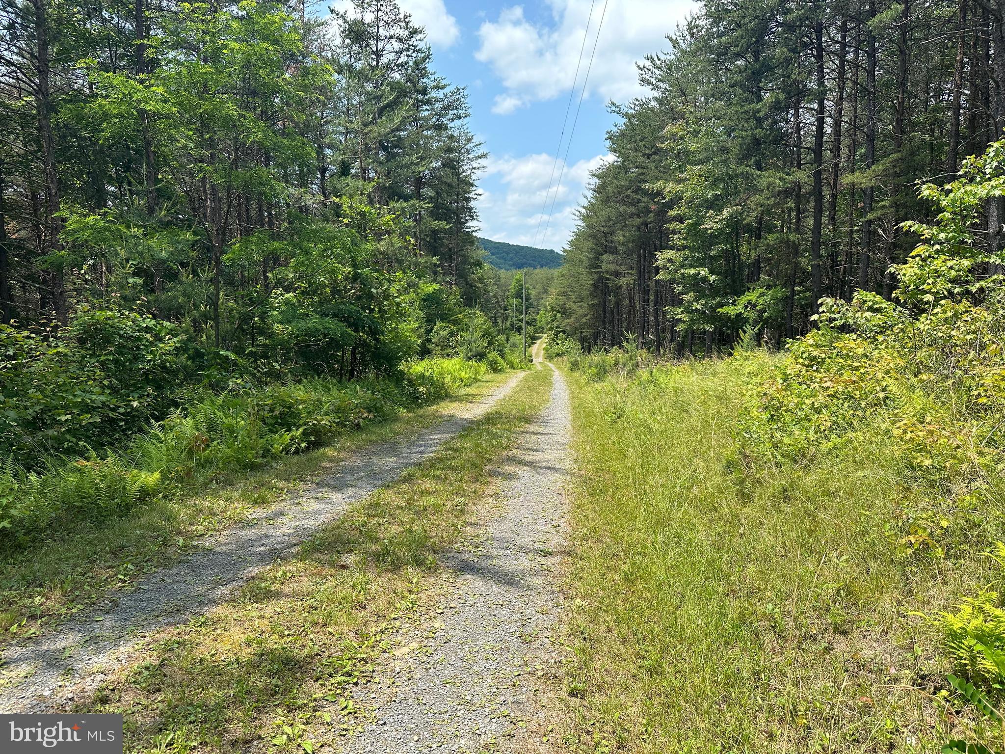 ASHTON WOODS - Residential