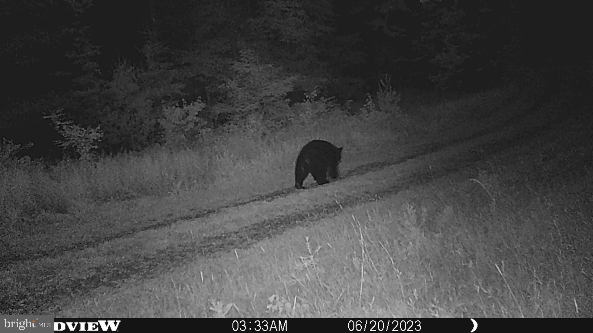 ASHTON WOODS - Residential