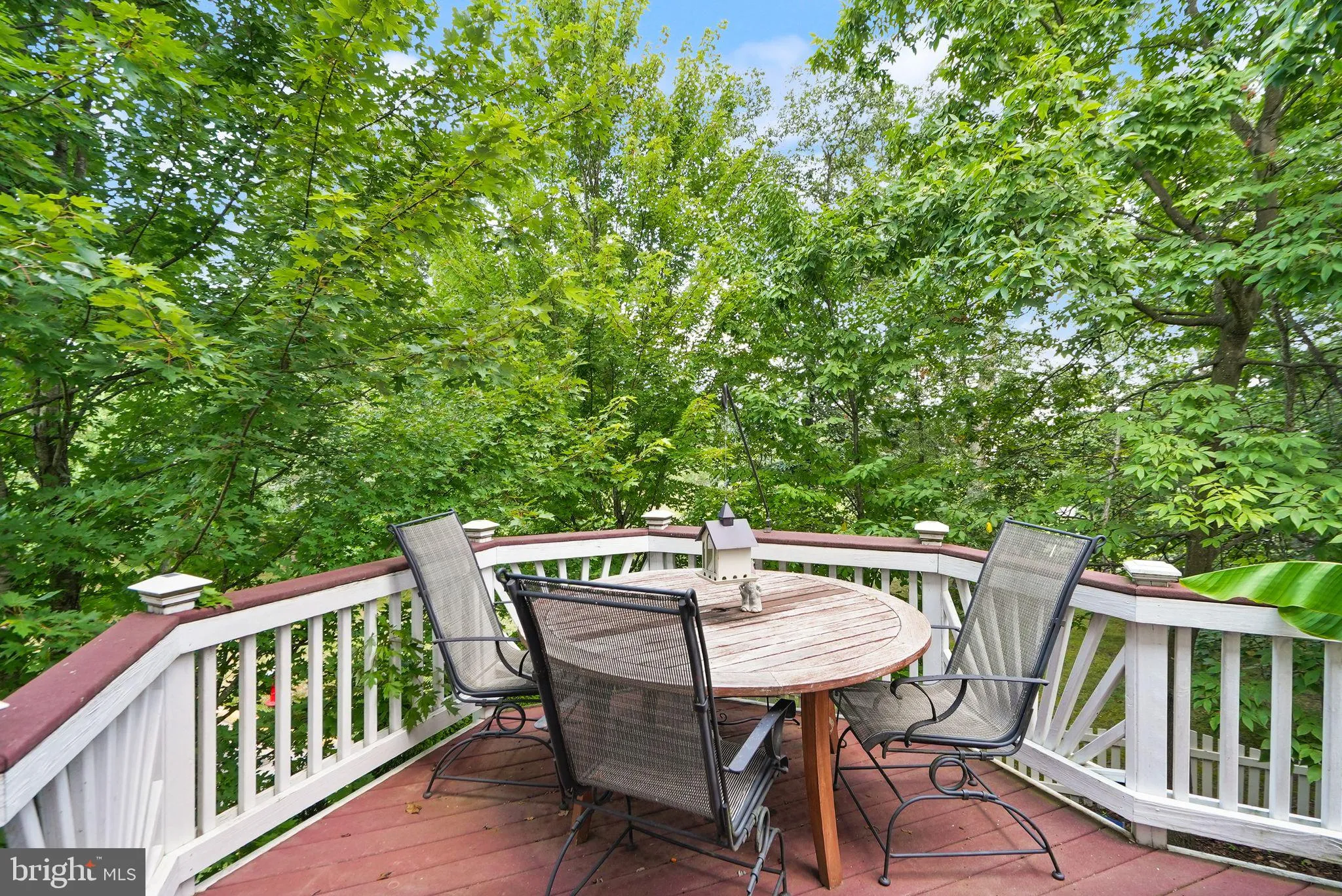 Leesburg, Virginia 20176, United States, 3 Bedrooms Bedrooms, ,4 BathroomsBathrooms,Residential,Coming Soon,177041