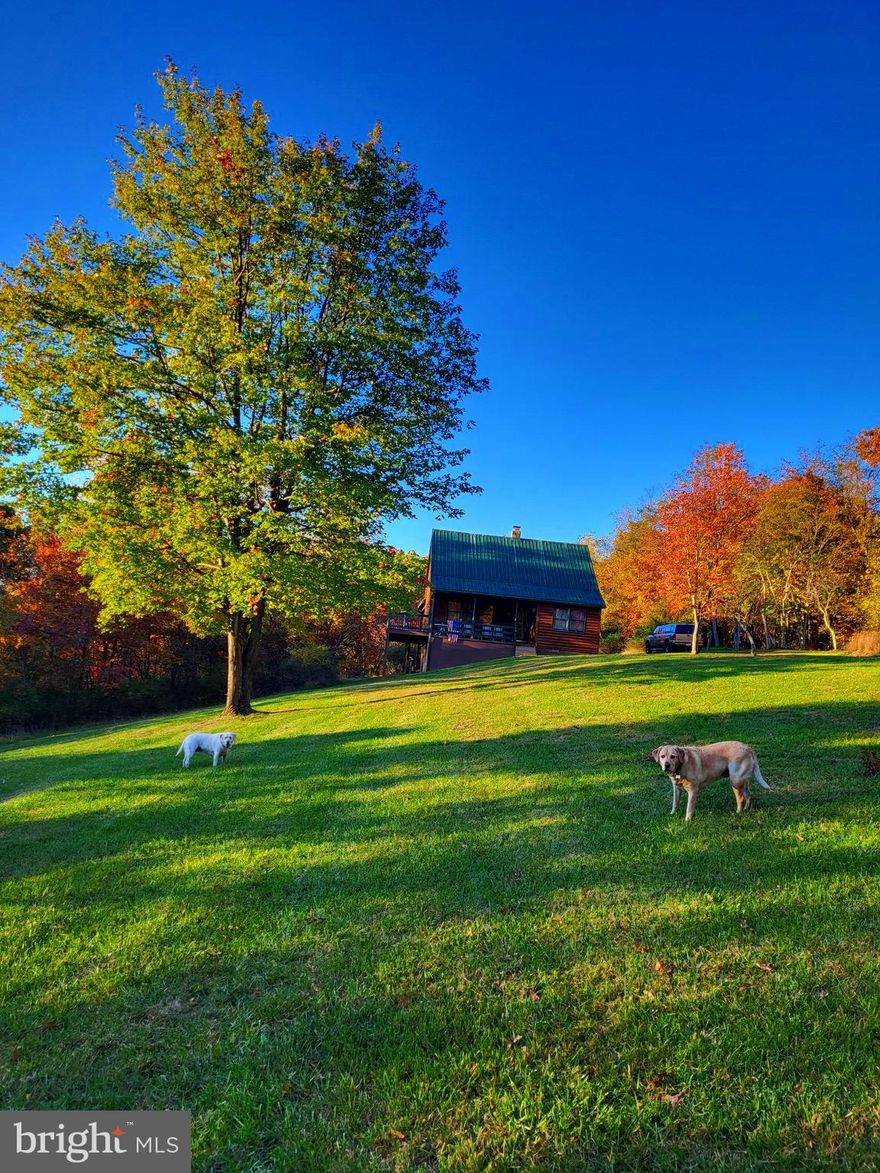 MOUNTAIN HOME!  As referred to by the family,  is perched at the top of a Ridge overlooking the valley below.   As you admire the view from the wraparound porch/ deck you will be drawn to the Mountain View of 7754 acres of State owned Short Mountain Wildlife property.  Near by you will also find, River access, Nathaniel Mountain and Lost River State Park.  Over 45 acres of Almost Heaven provides privacy & seclusion with easy access and only a short distance from Winchester VA and about 2 hours from the DC area.  This 3 Bedroom, 2 Bath home has provided a family gathering place for many years as it could be for the new owner.  So the perfect get-away or a full time home are both possibilities.  There is an abundant of wild life right outside your door for the nature lovers viewing or the  hunter in you.   Fishing from your own private stocked spring fed pond is also provided.  There is plenty of room for a garden or if you prefer bear, deer, turkey, large mouth bass, cat  or sun fish it's all only a cast away.  The property is currently under timber land management so that is also an option.  The home provides a main level bedroom & bath, 2 upper bedrooms  w/bath, loft, washer/dryer hook-up, central heat & air along with a fireplace all to provide comfort for any season.  Come check out this MOUNTAIN HOME and see what Wild & Wonderful has to offer.  Professional photos coming soon.