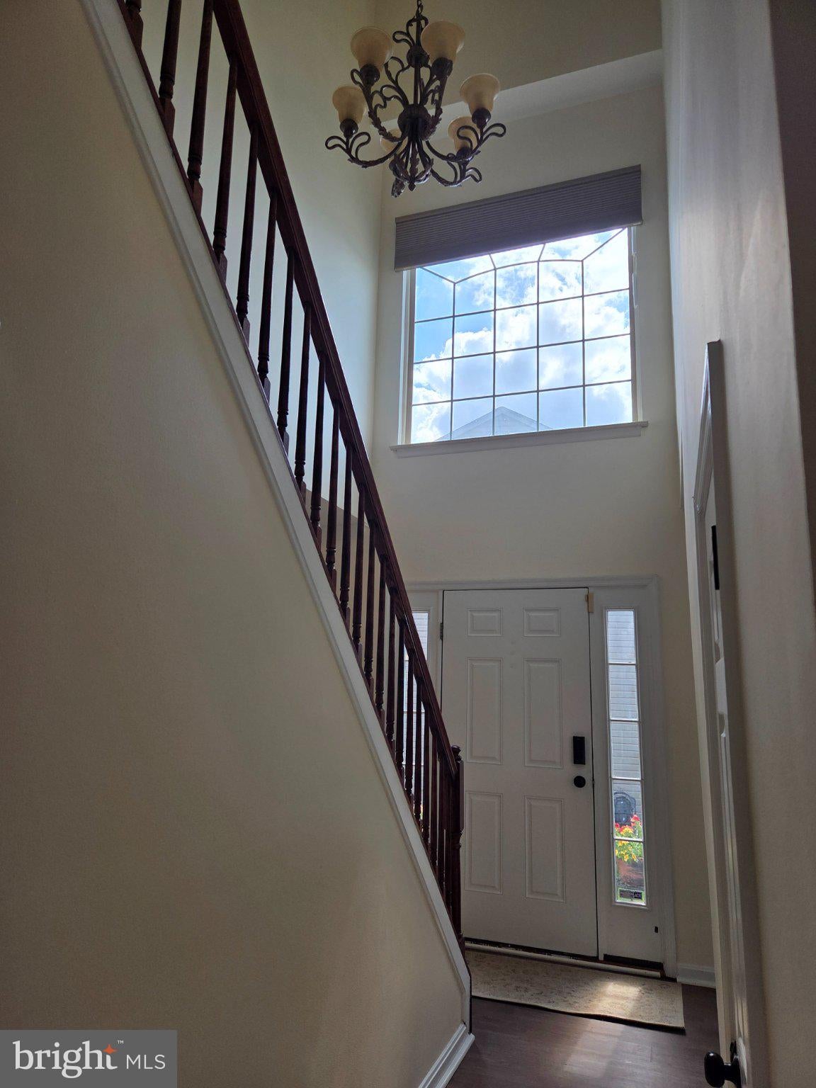 4941 BRISTLE CONE CIRCLE