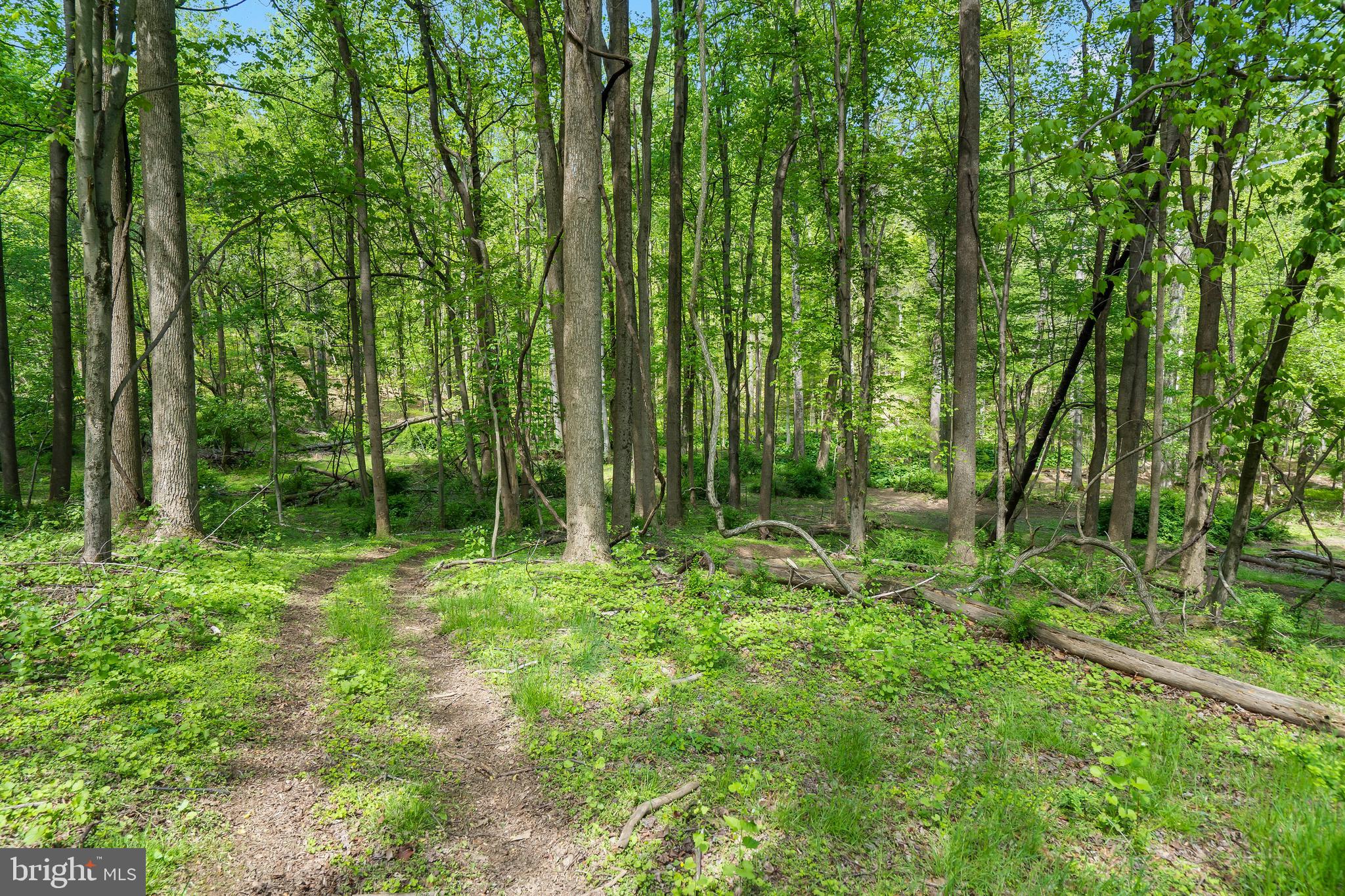 VELVET VALLEY - Residential