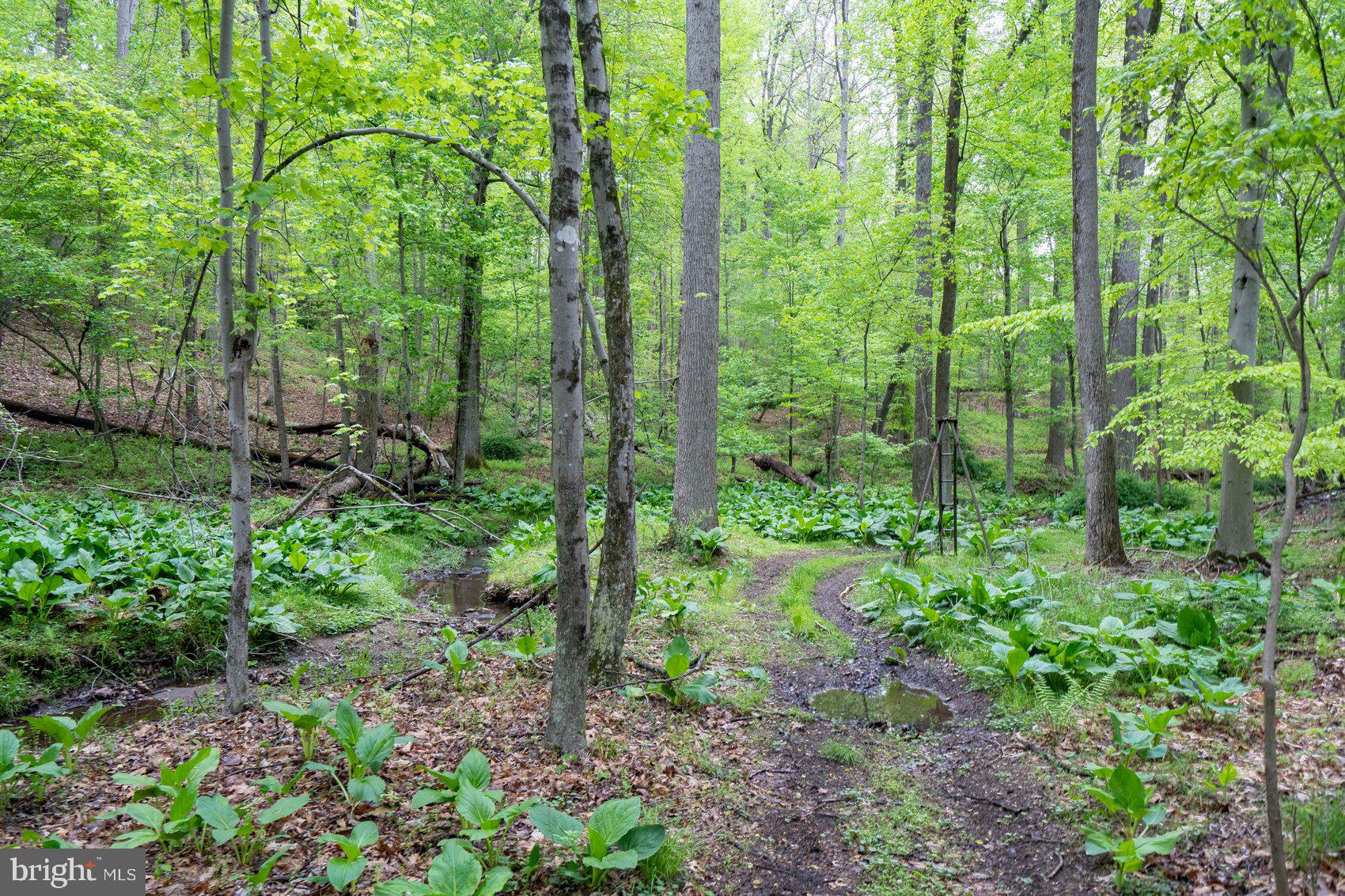 VELVET VALLEY - Residential