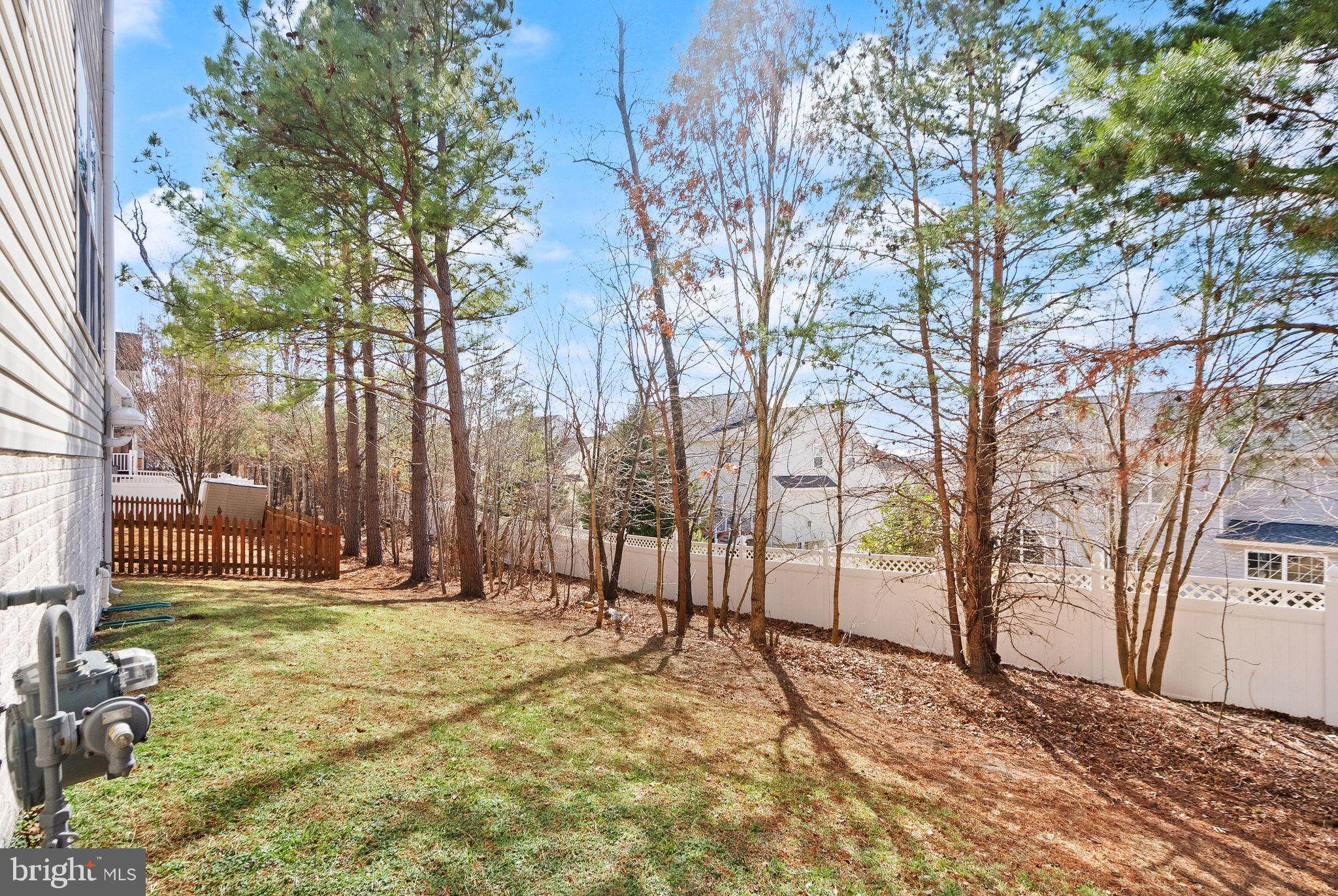 MEADOWS AT MORRIS FARM - Residential