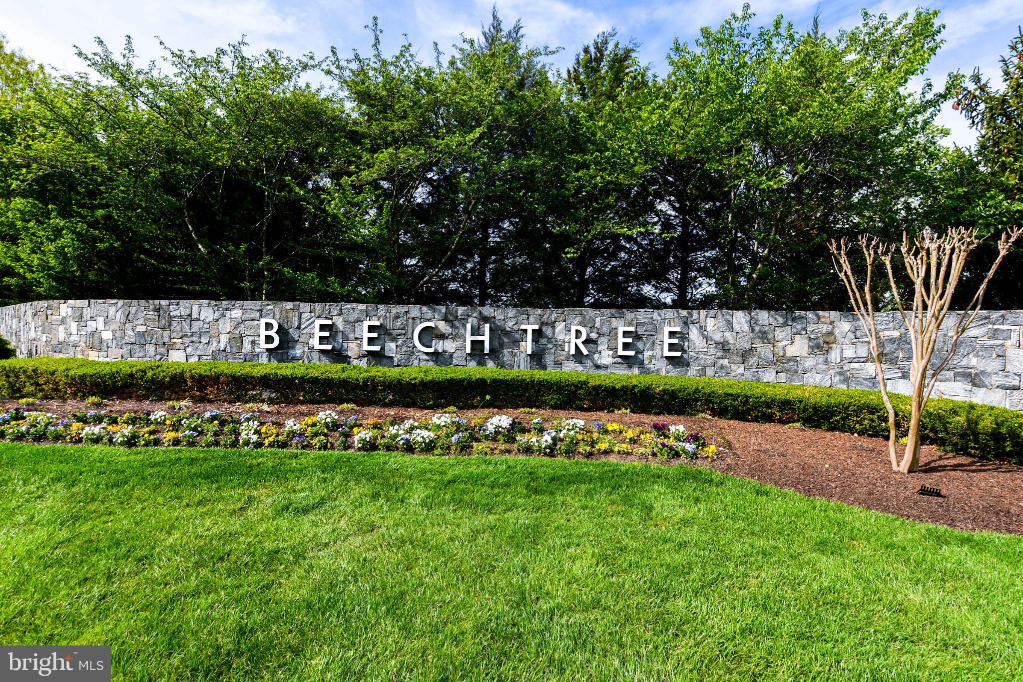 BEECH TREE NORTH VILLAGE - Residential