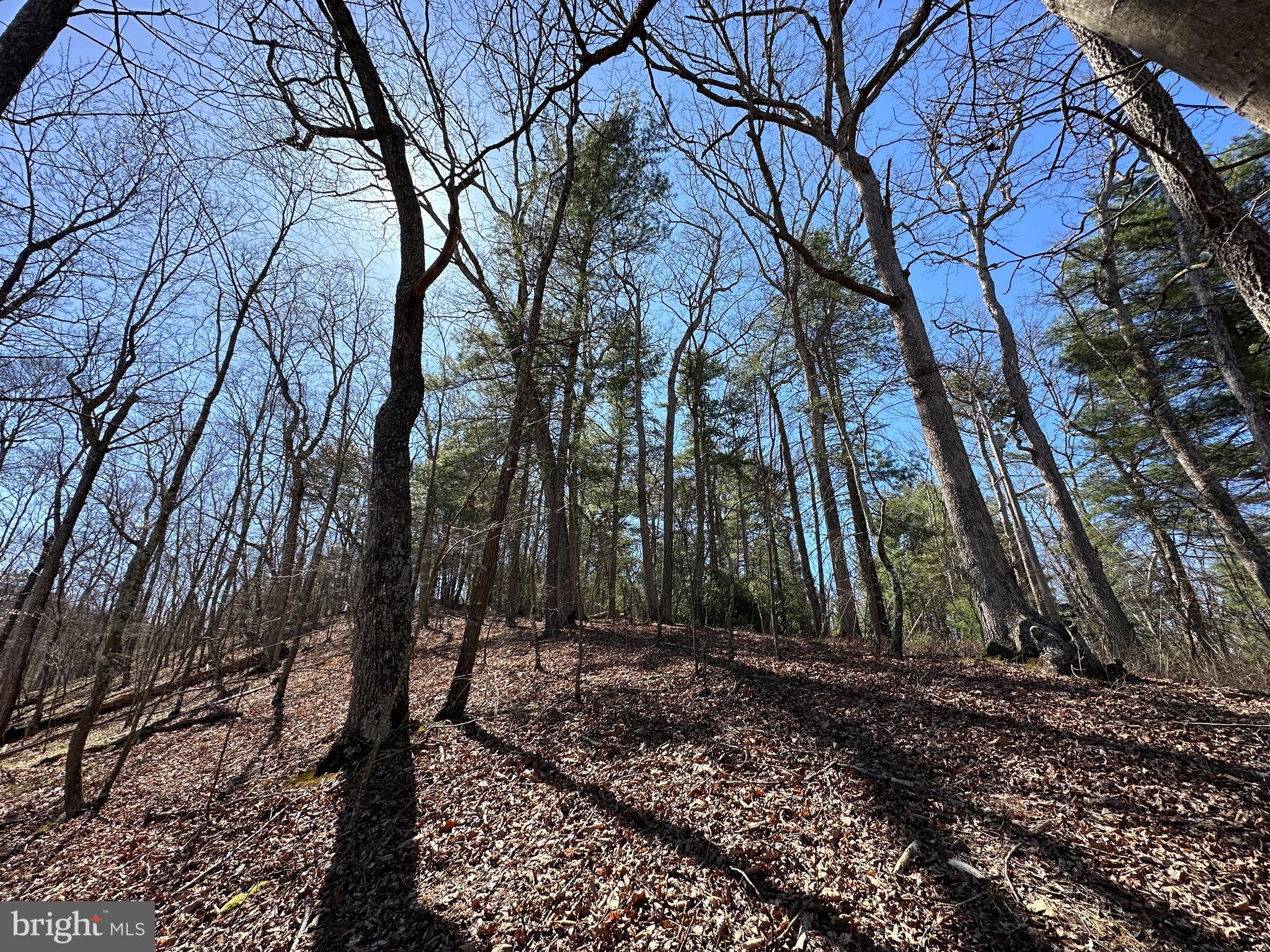 POTOMAC RIVER HILLS - Land