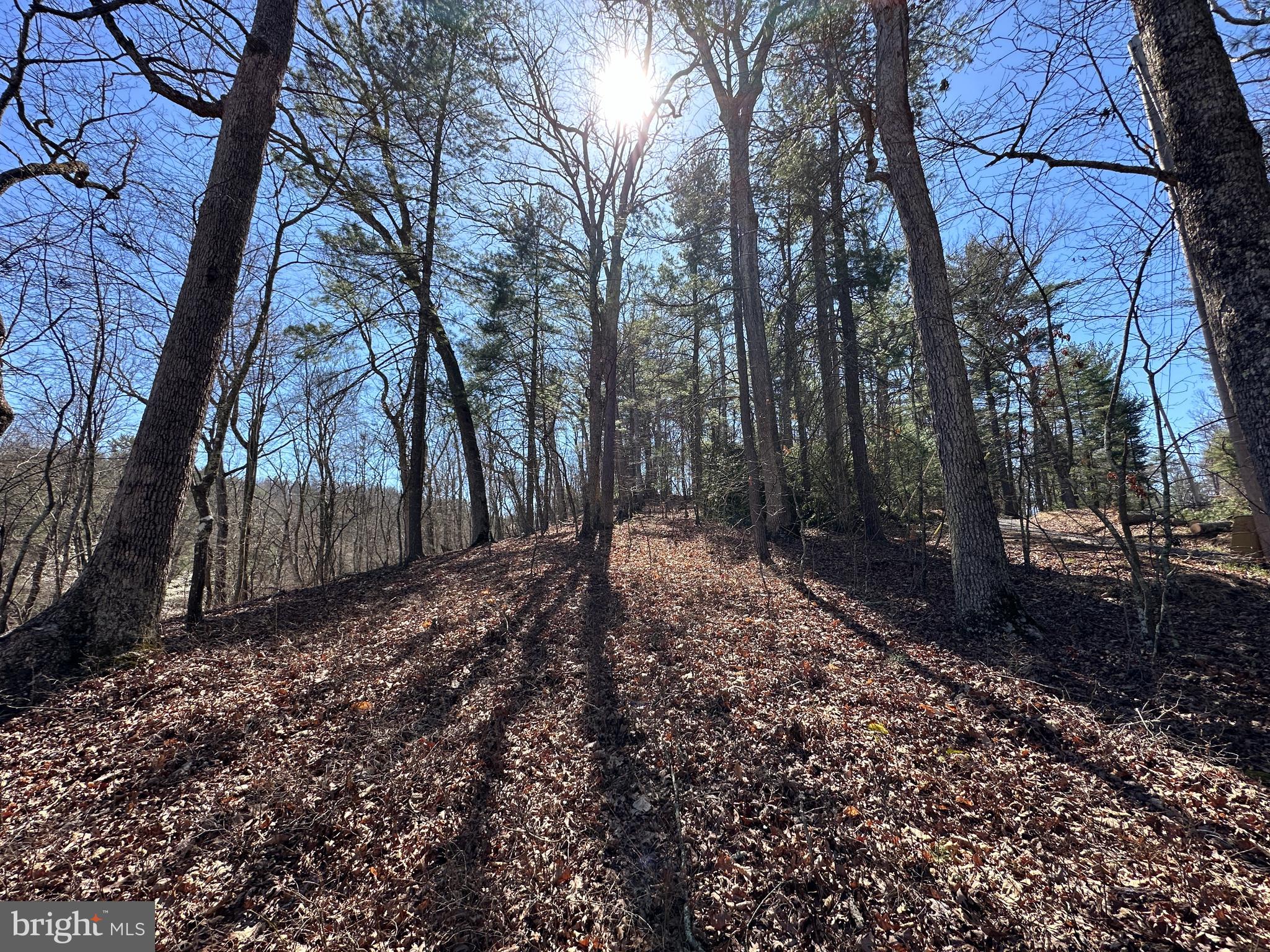 POTOMAC RIVER HILLS - Land
