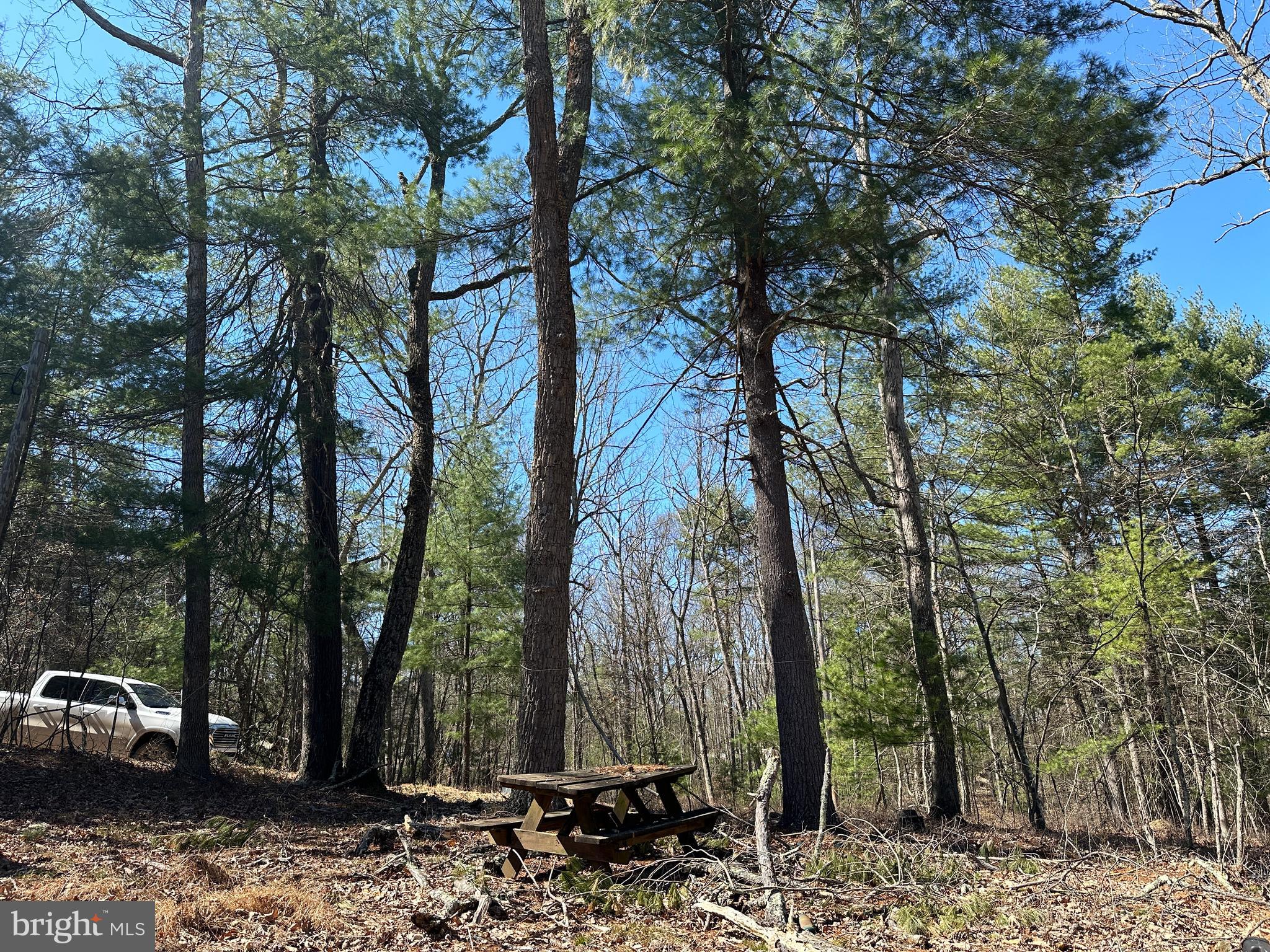 POTOMAC RIVER HILLS - Land