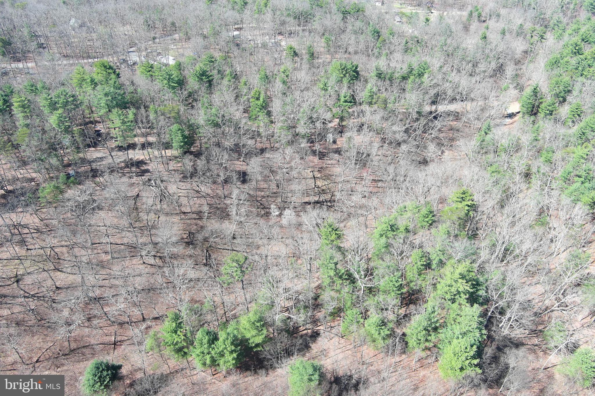 POTOMAC RIVER HILLS - Land