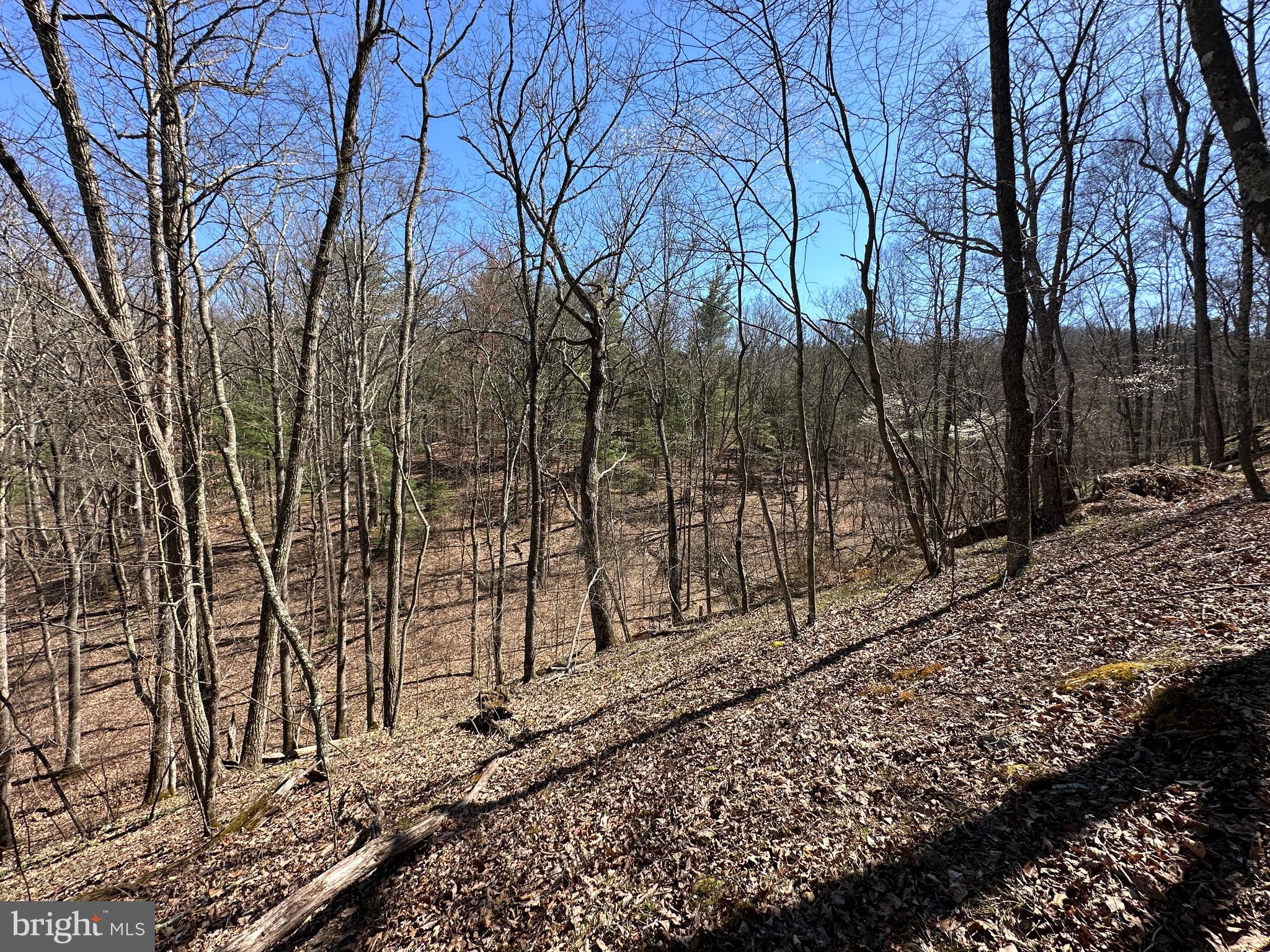 POTOMAC RIVER HILLS - Land