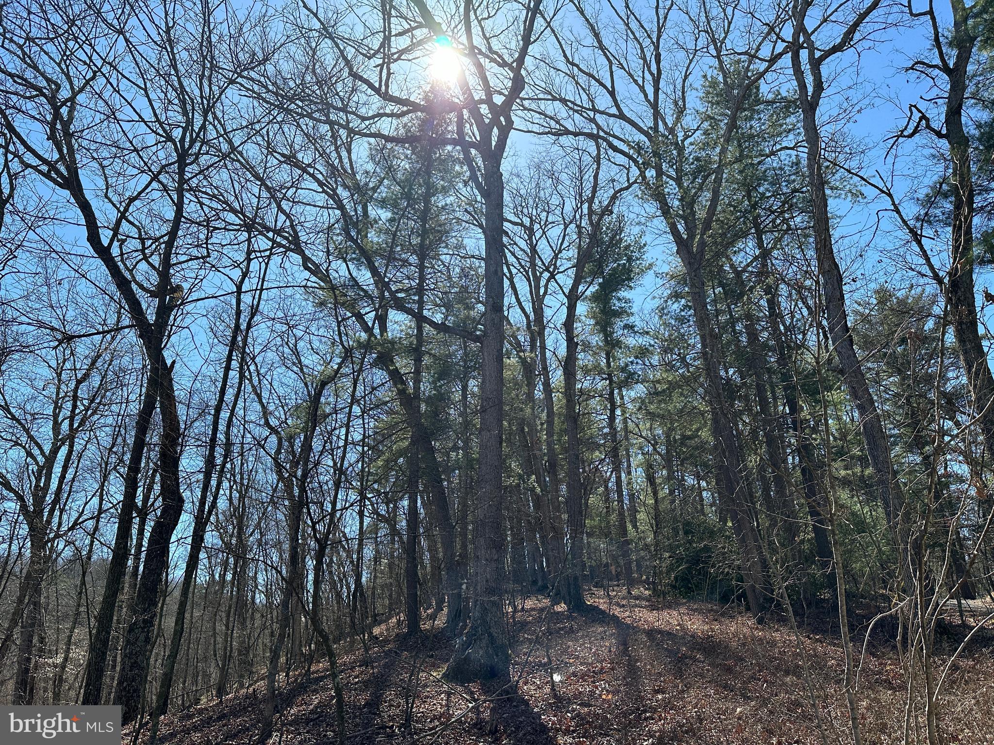 POTOMAC RIVER HILLS - Land