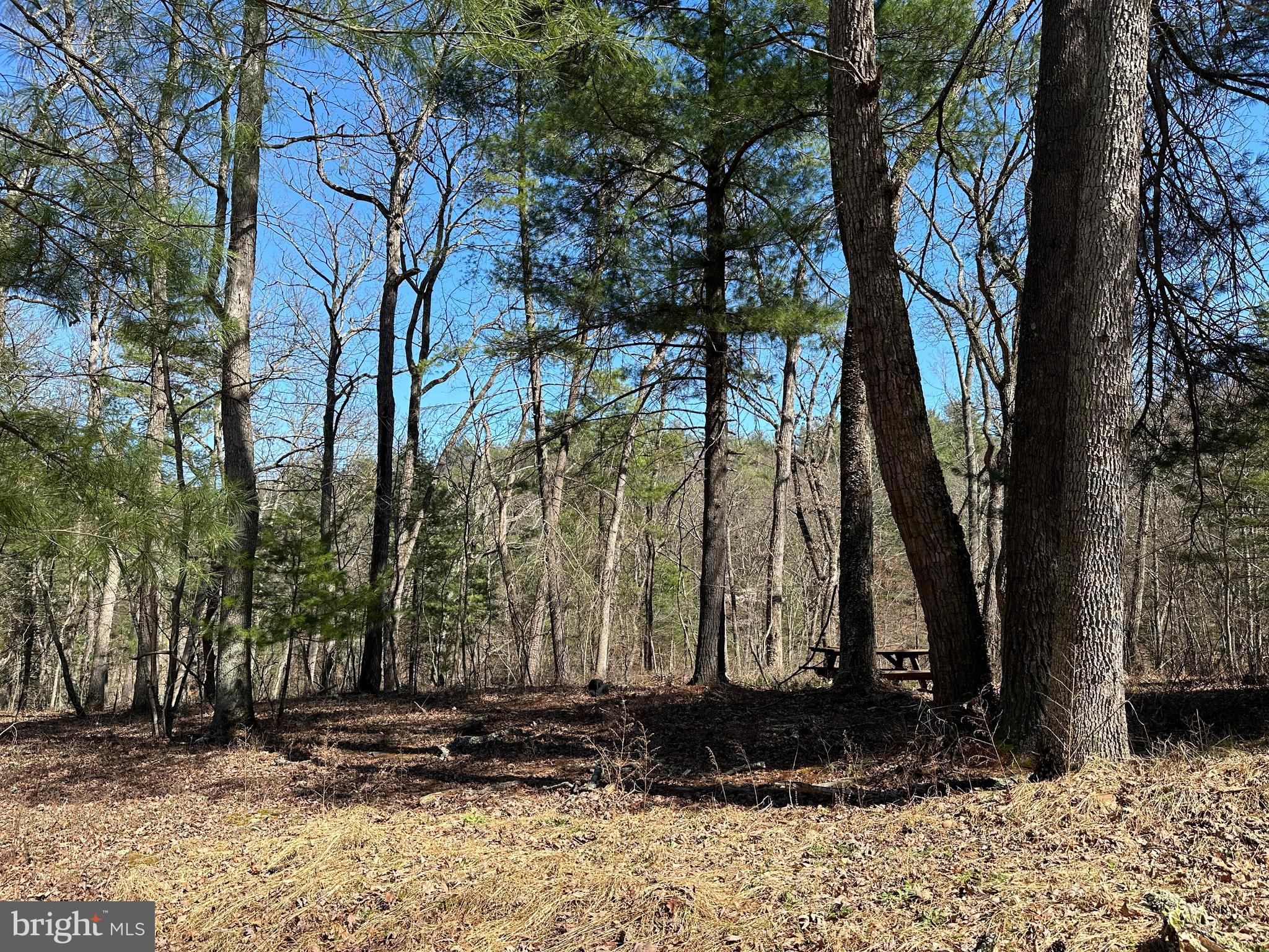 POTOMAC RIVER HILLS - Land