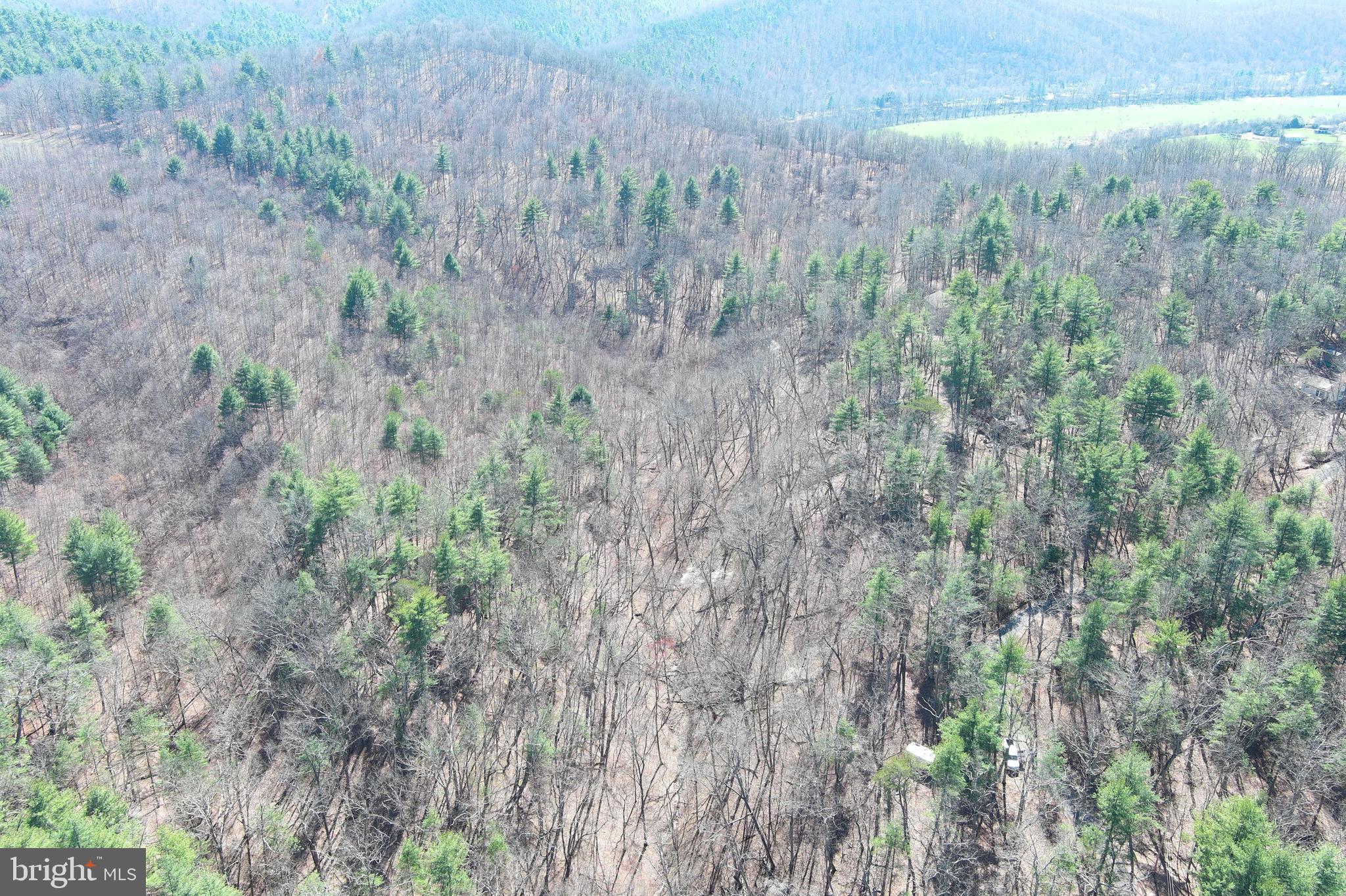 POTOMAC RIVER HILLS - Land