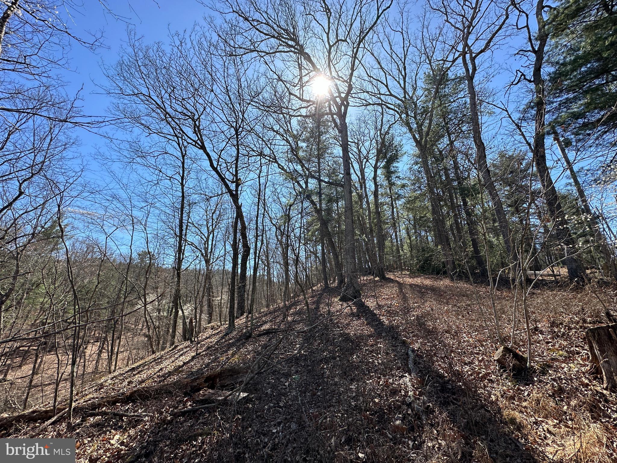 POTOMAC RIVER HILLS - Land