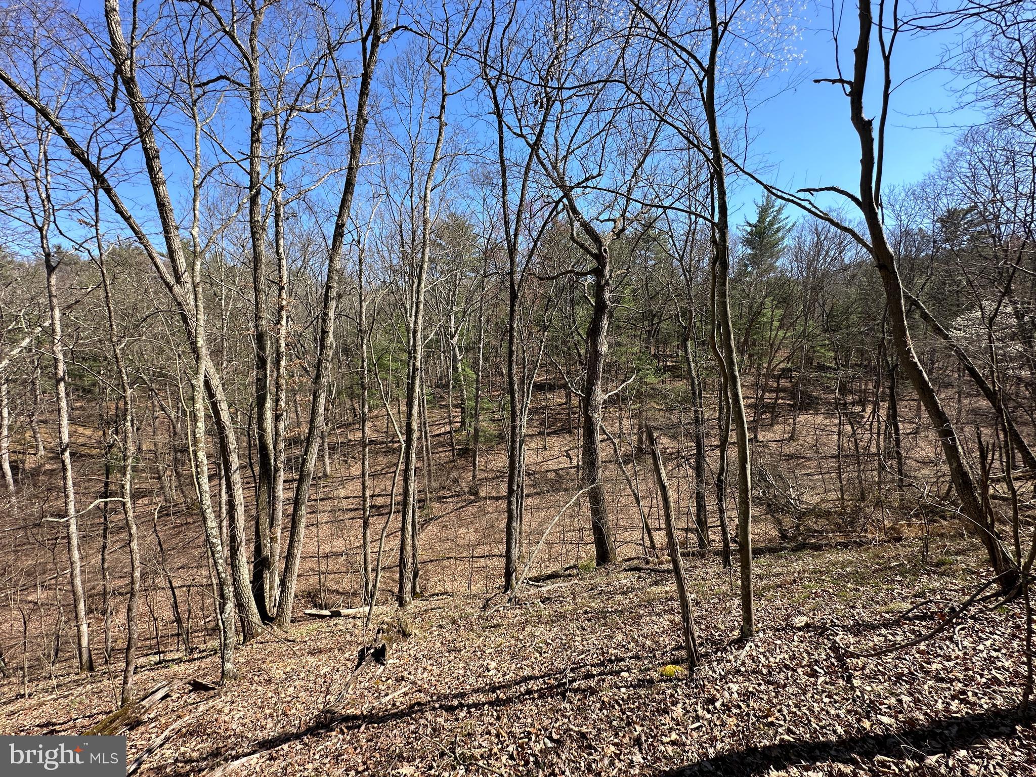 POTOMAC RIVER HILLS - Land