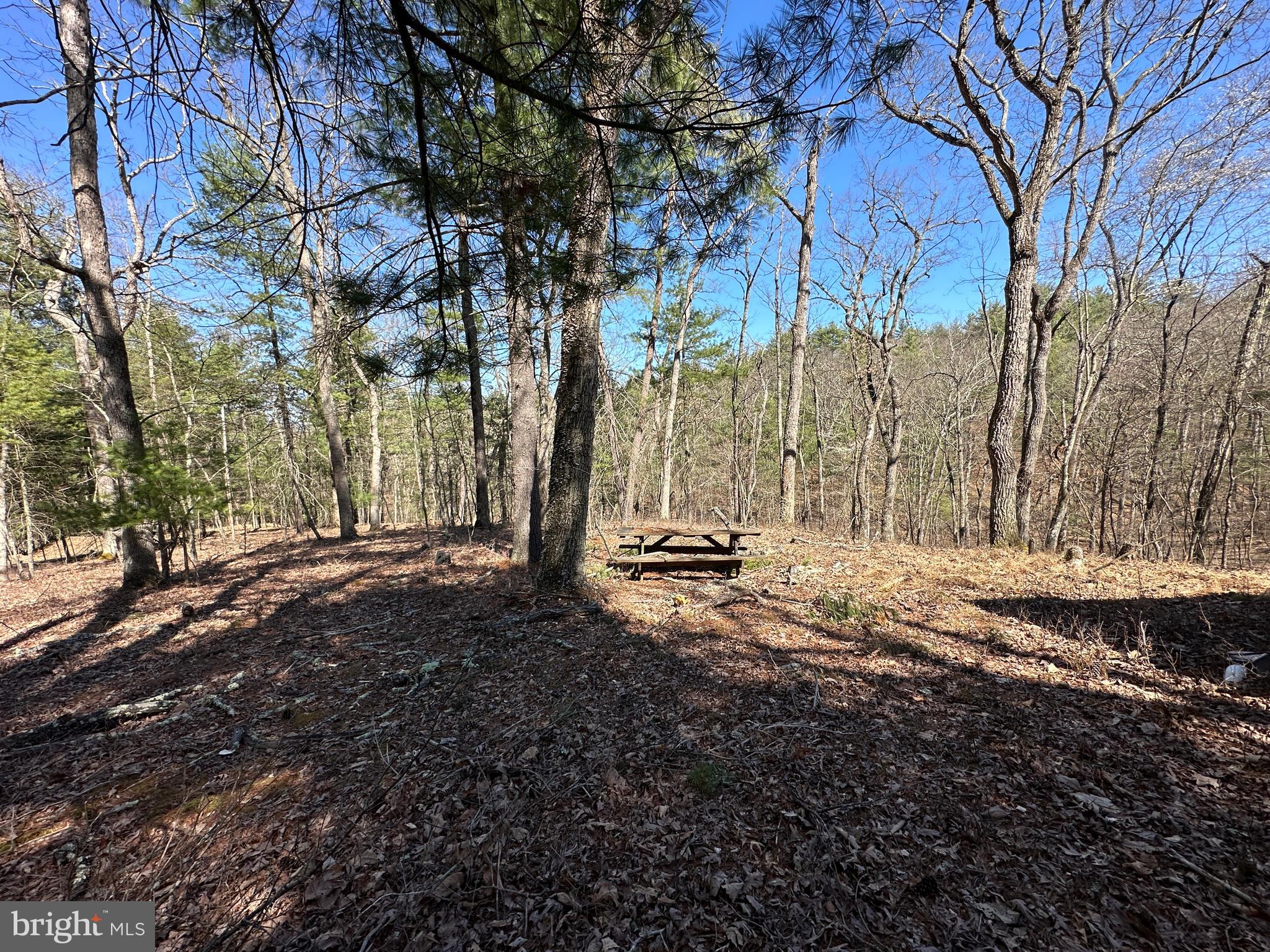 POTOMAC RIVER HILLS - Land