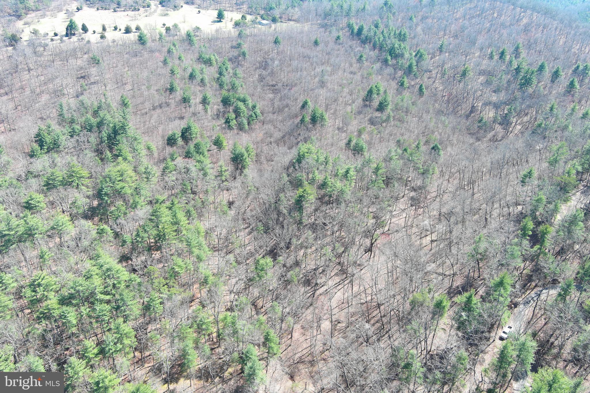 POTOMAC RIVER HILLS - Land