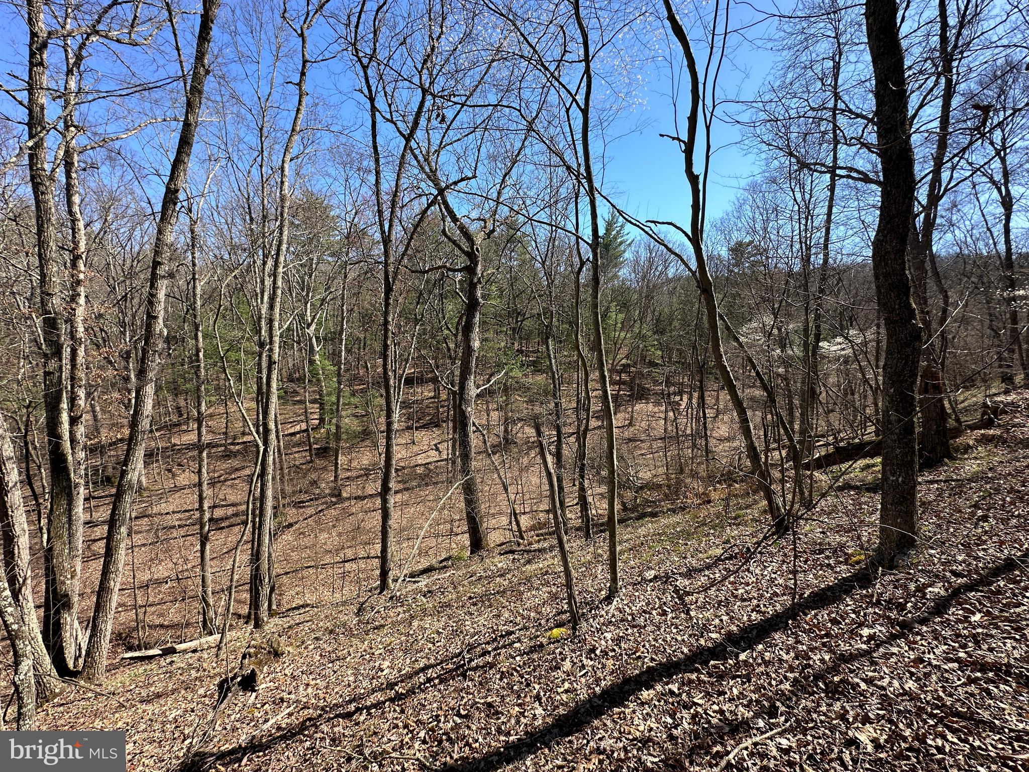 POTOMAC RIVER HILLS - Land