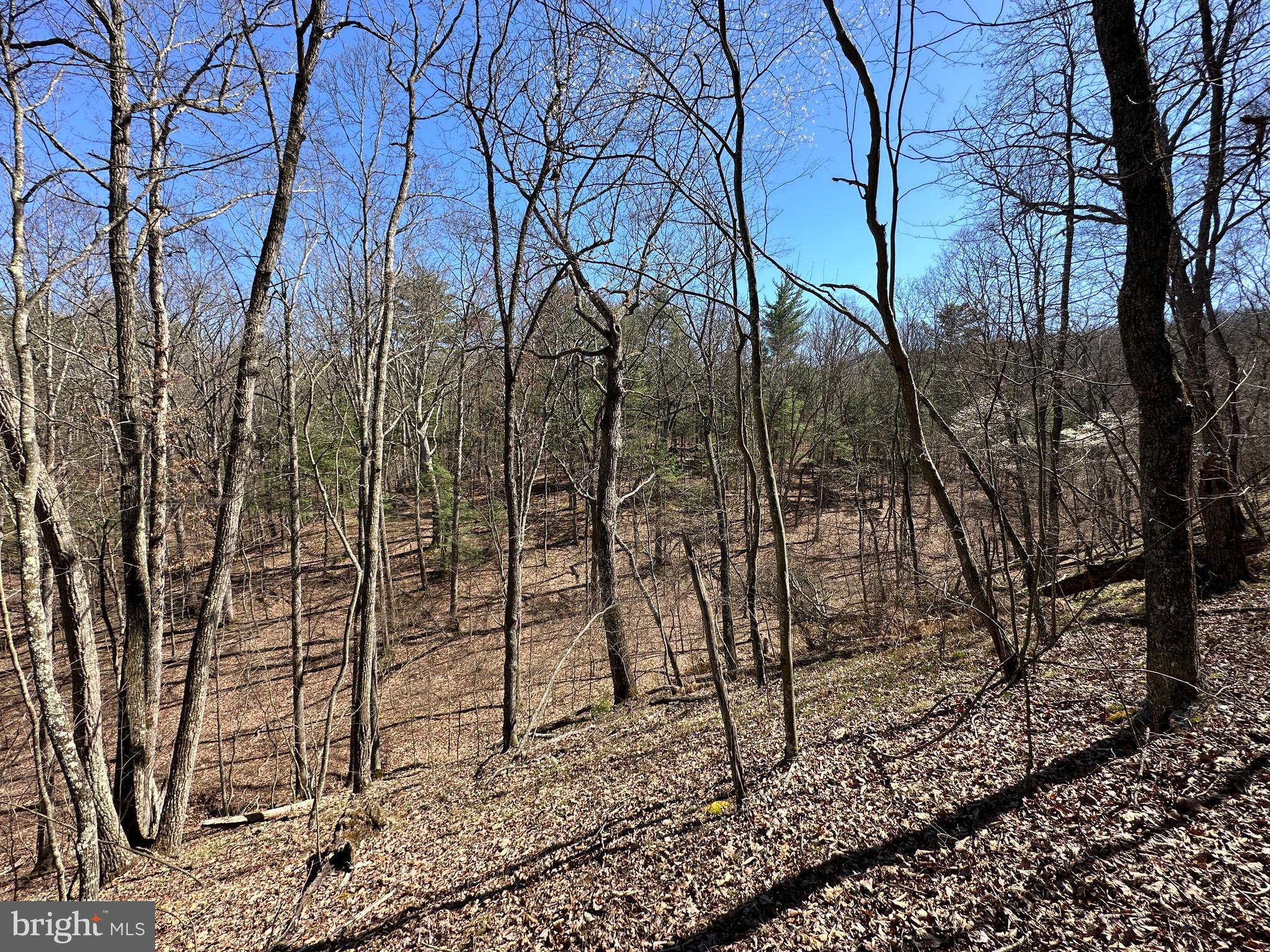 POTOMAC RIVER HILLS - Land