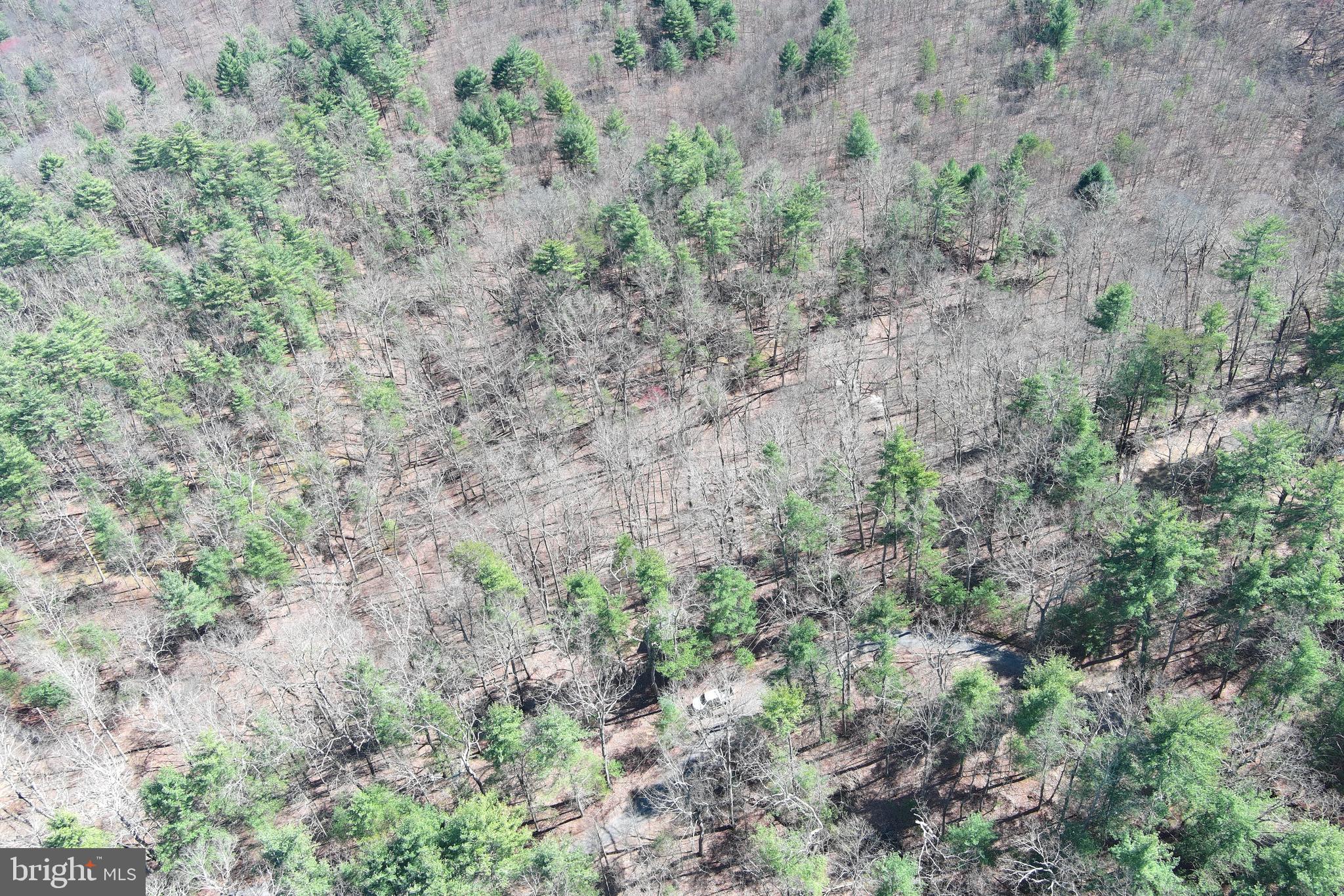 POTOMAC RIVER HILLS - Land