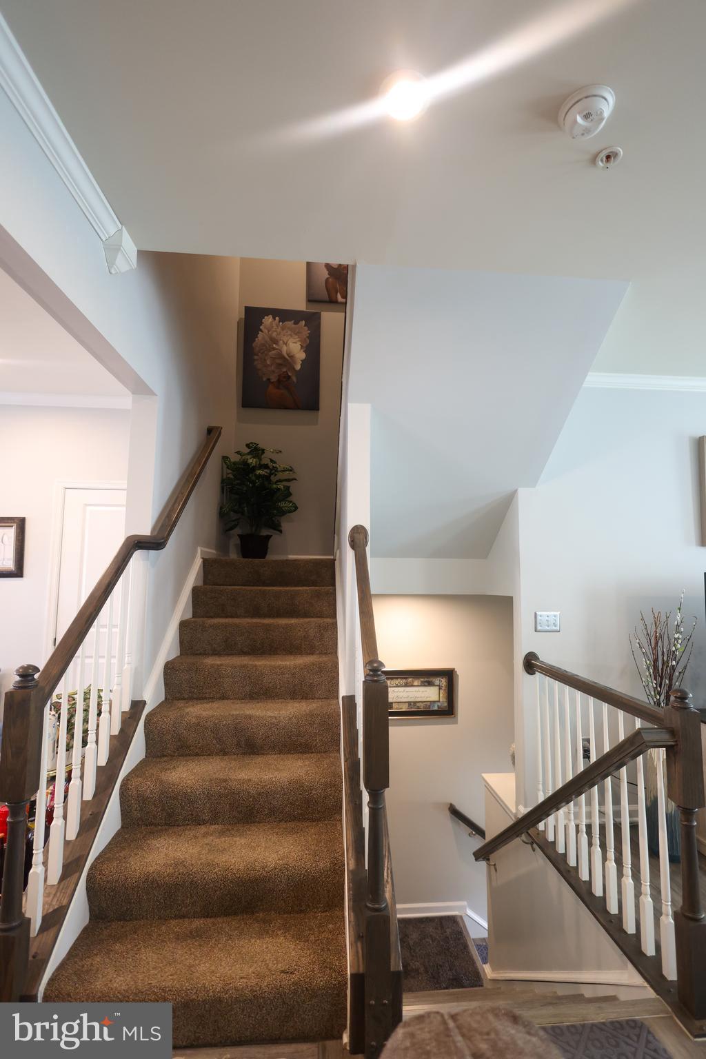 WESTCHESTER SQUARE - Residential