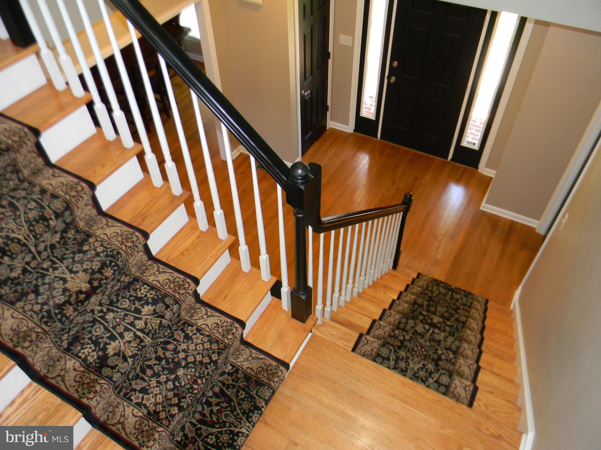 STEEPLECHASE - Residential