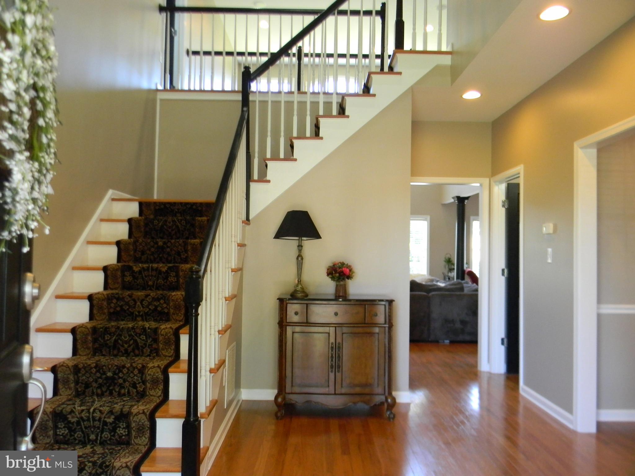 STEEPLECHASE - Residential