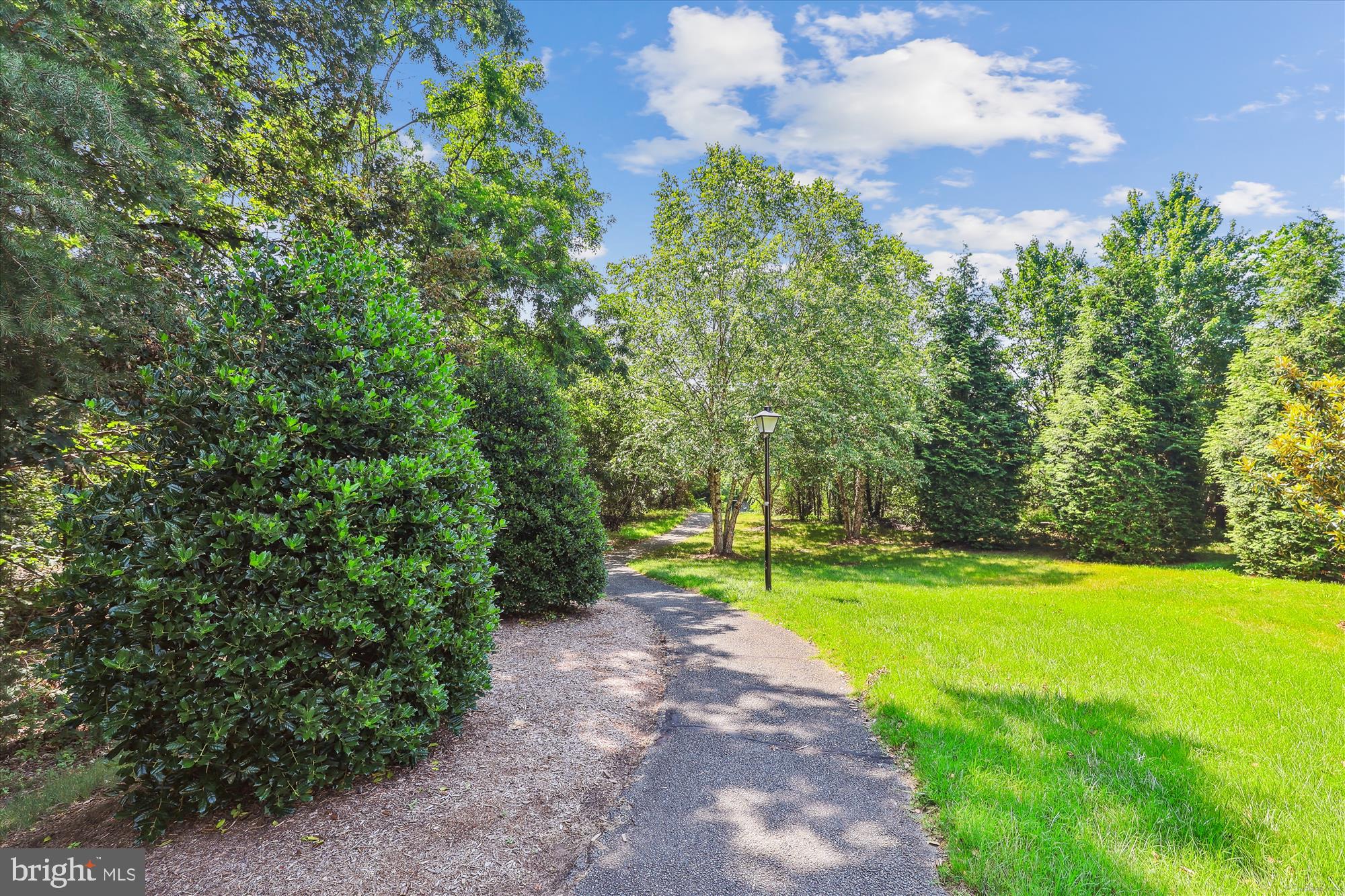 JAPONICA - Residential