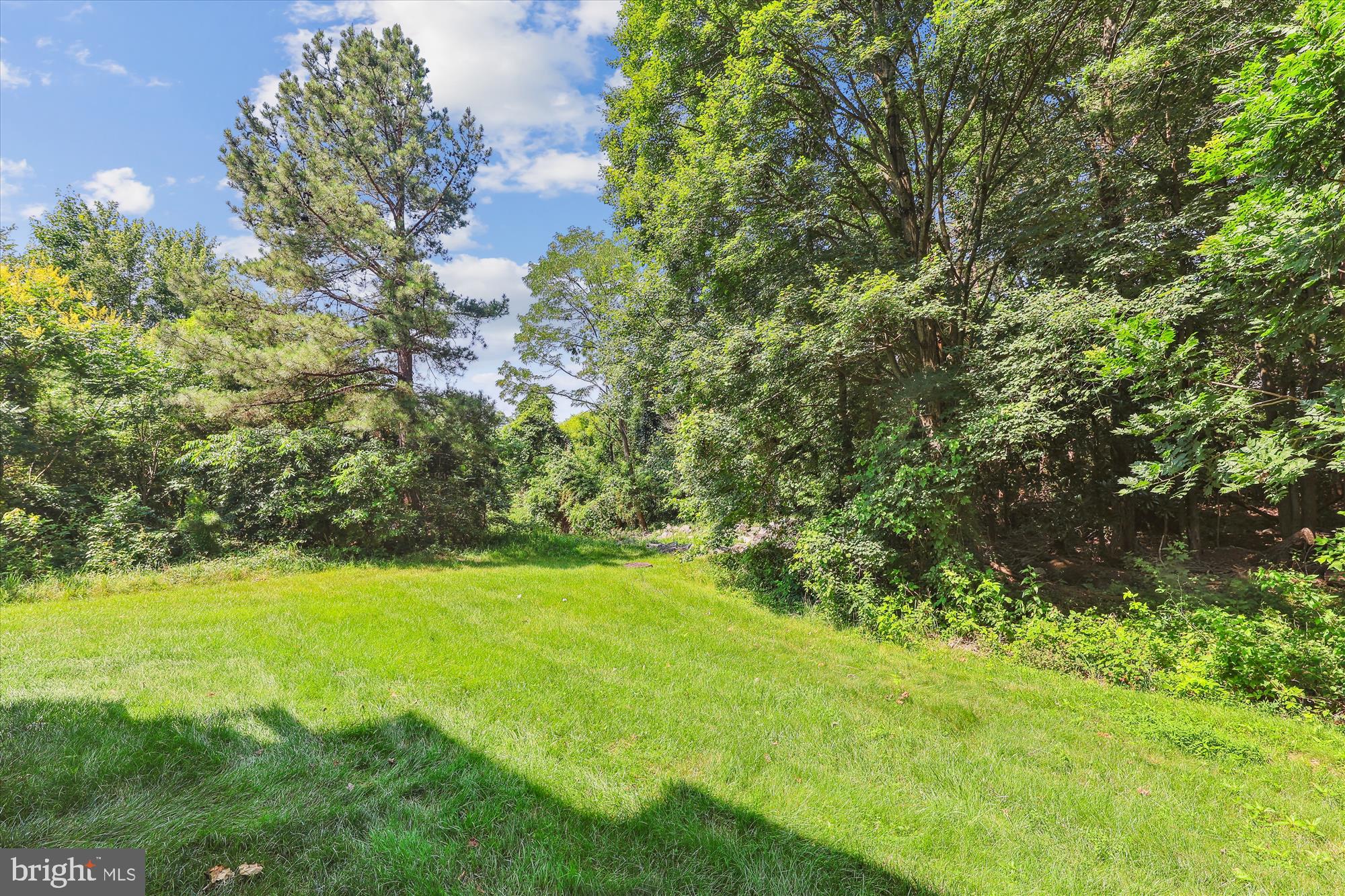 JAPONICA - Residential