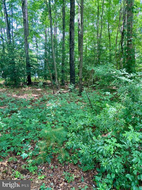 NORTHUMBERLAND PLANTATION - Land