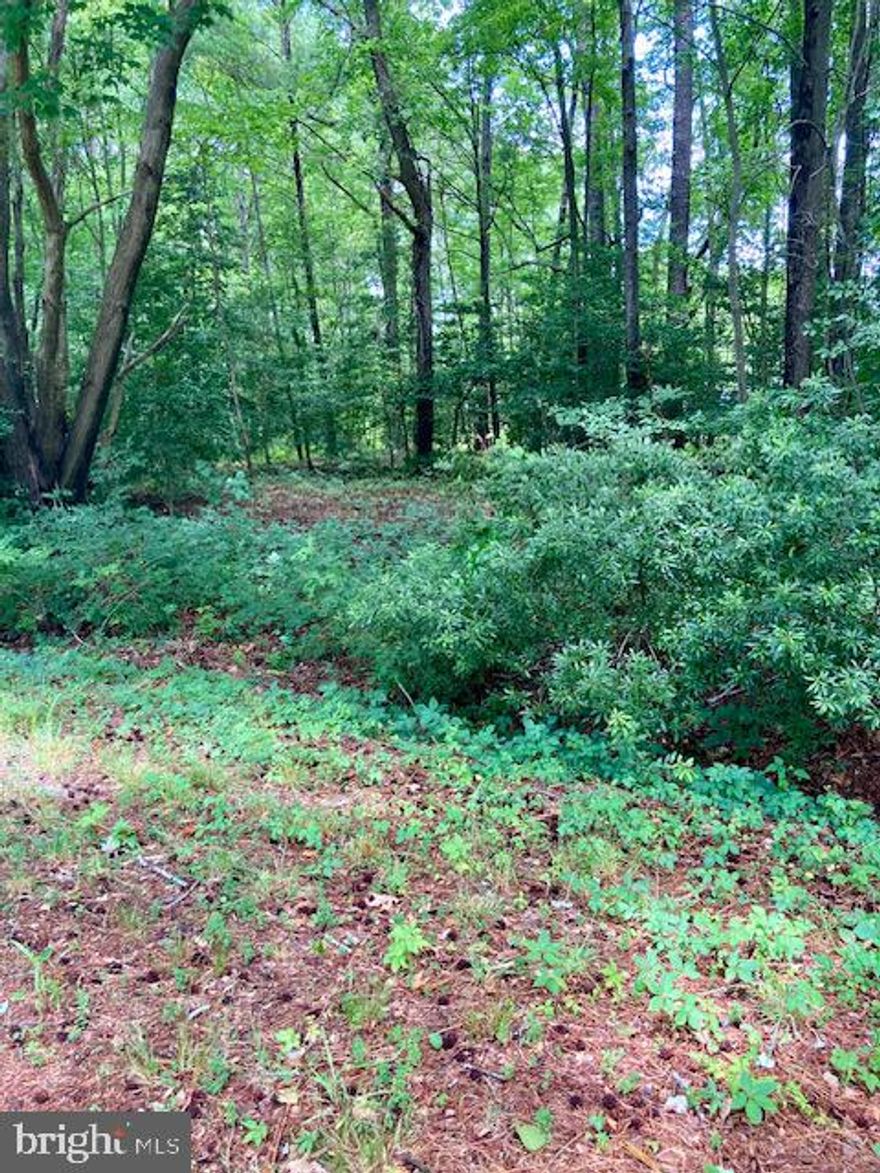 Wooded water view lot in Northumberland Plantation. Corner lot a block from the Potomac/Chesapeake  Bay. Just around the corner from the Northern Neck Boat and Beach Club, build your dream home and join the club for a private beach, swimming pool and  boat ramp. Water view of Frog Pond (Swan Lake).
