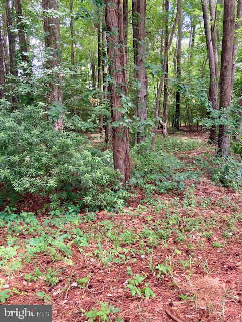 NORTHUMBERLAND PLANTATION - Land