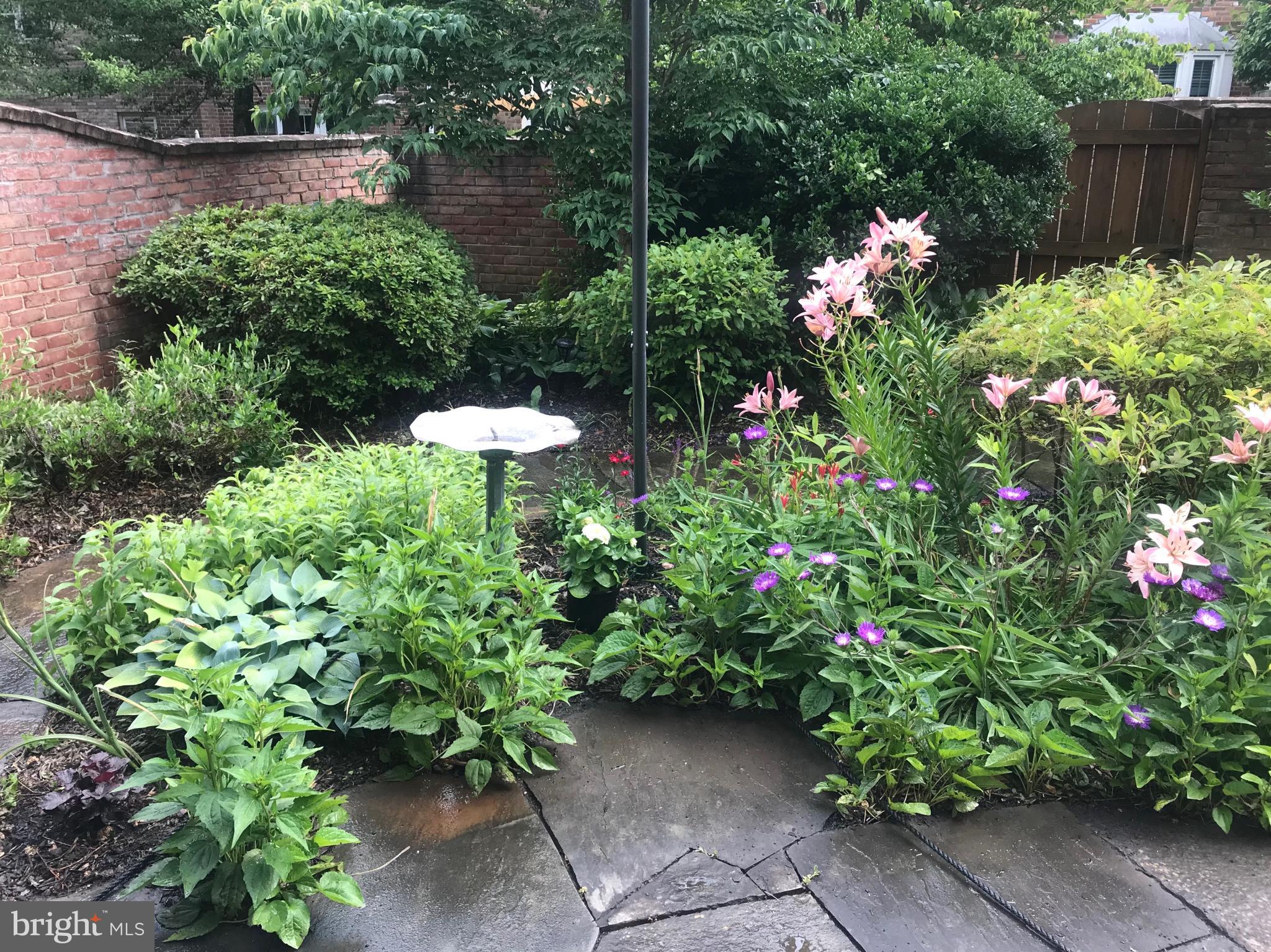 9311 CLANBROOK COURT