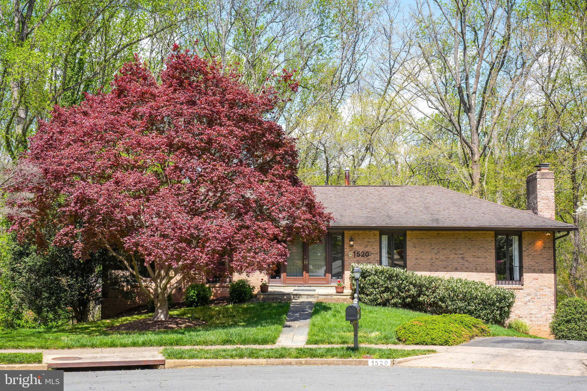 CHAIN BRIDGE FOREST - Residential