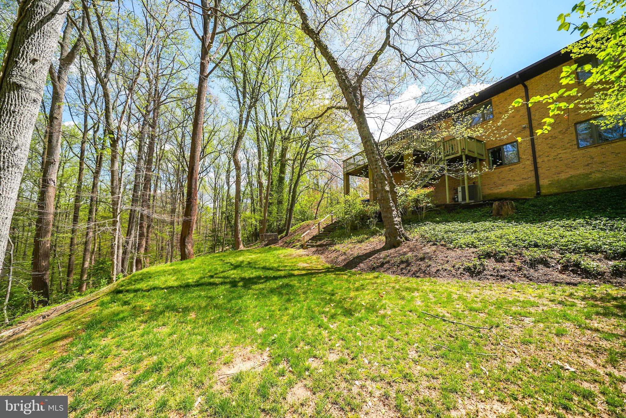 CHAIN BRIDGE FOREST - Residential