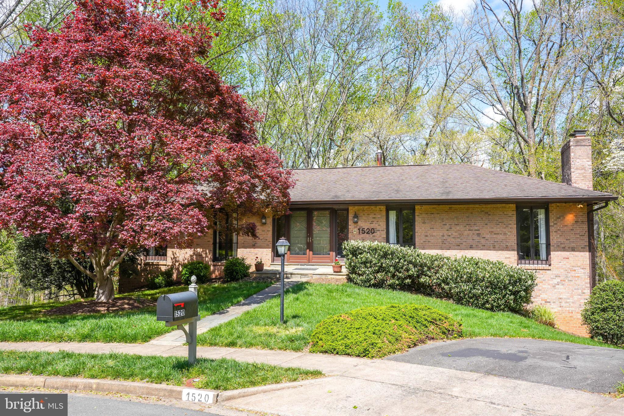 CHAIN BRIDGE FOREST - Residential