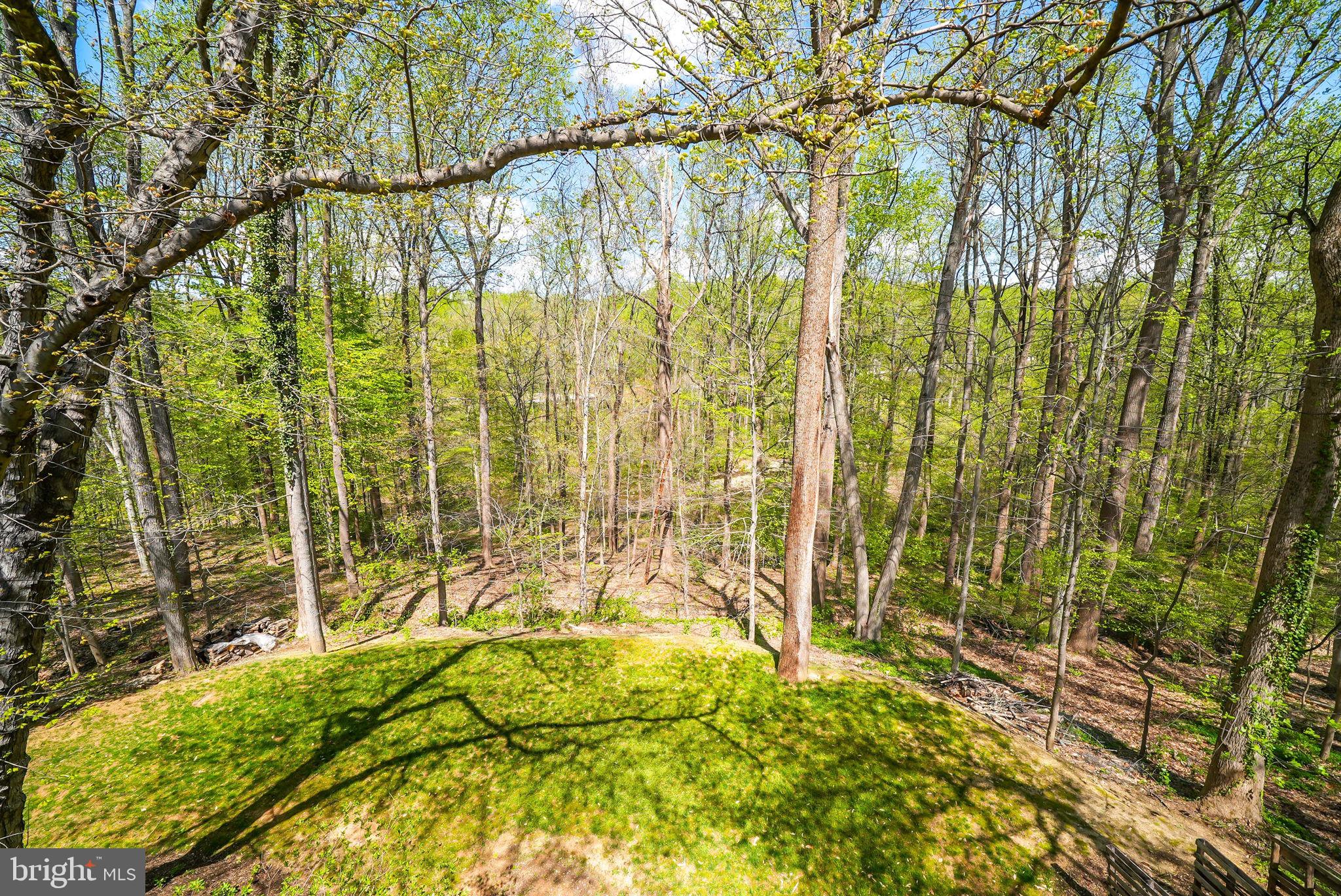 CHAIN BRIDGE FOREST - Residential