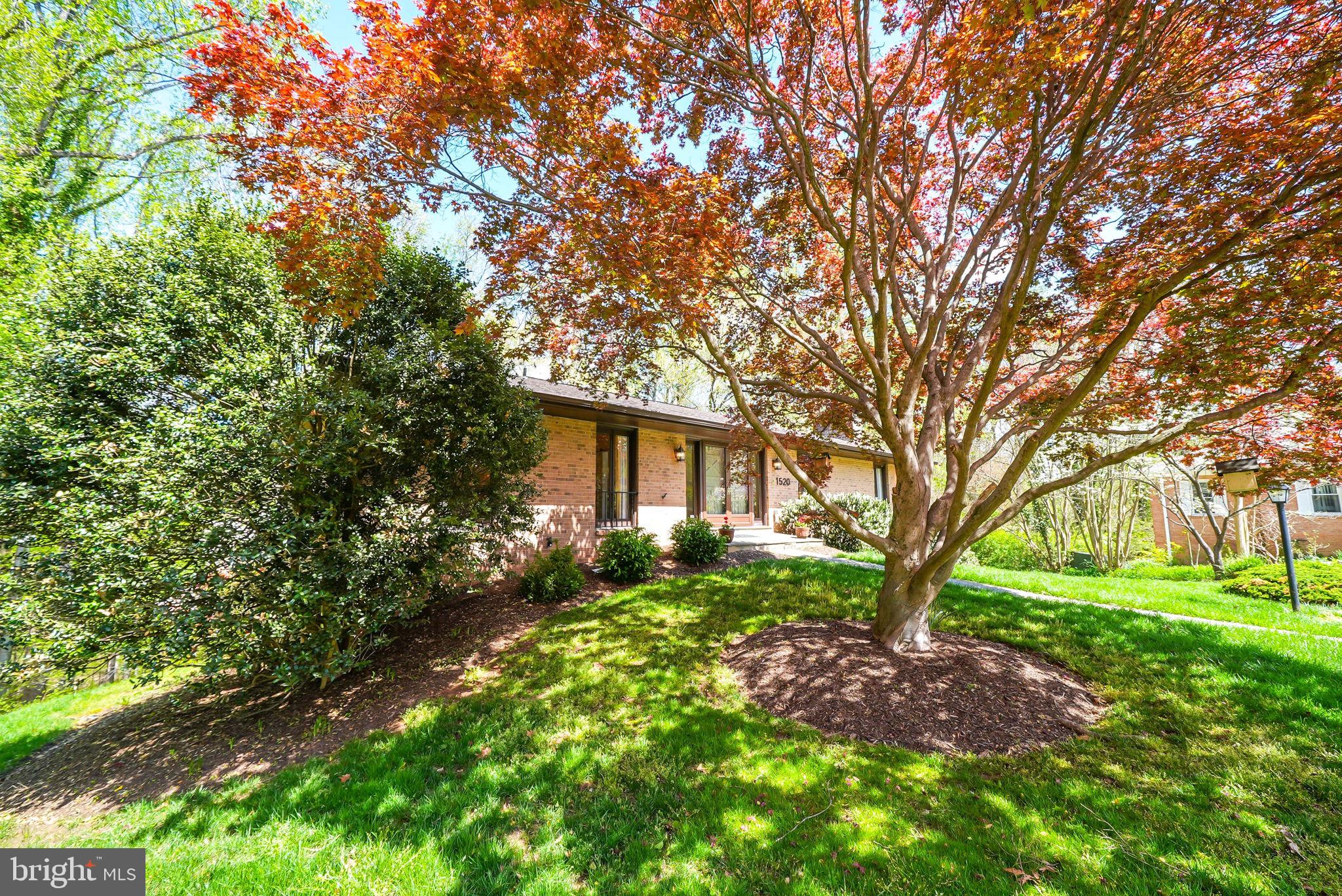 CHAIN BRIDGE FOREST - Residential