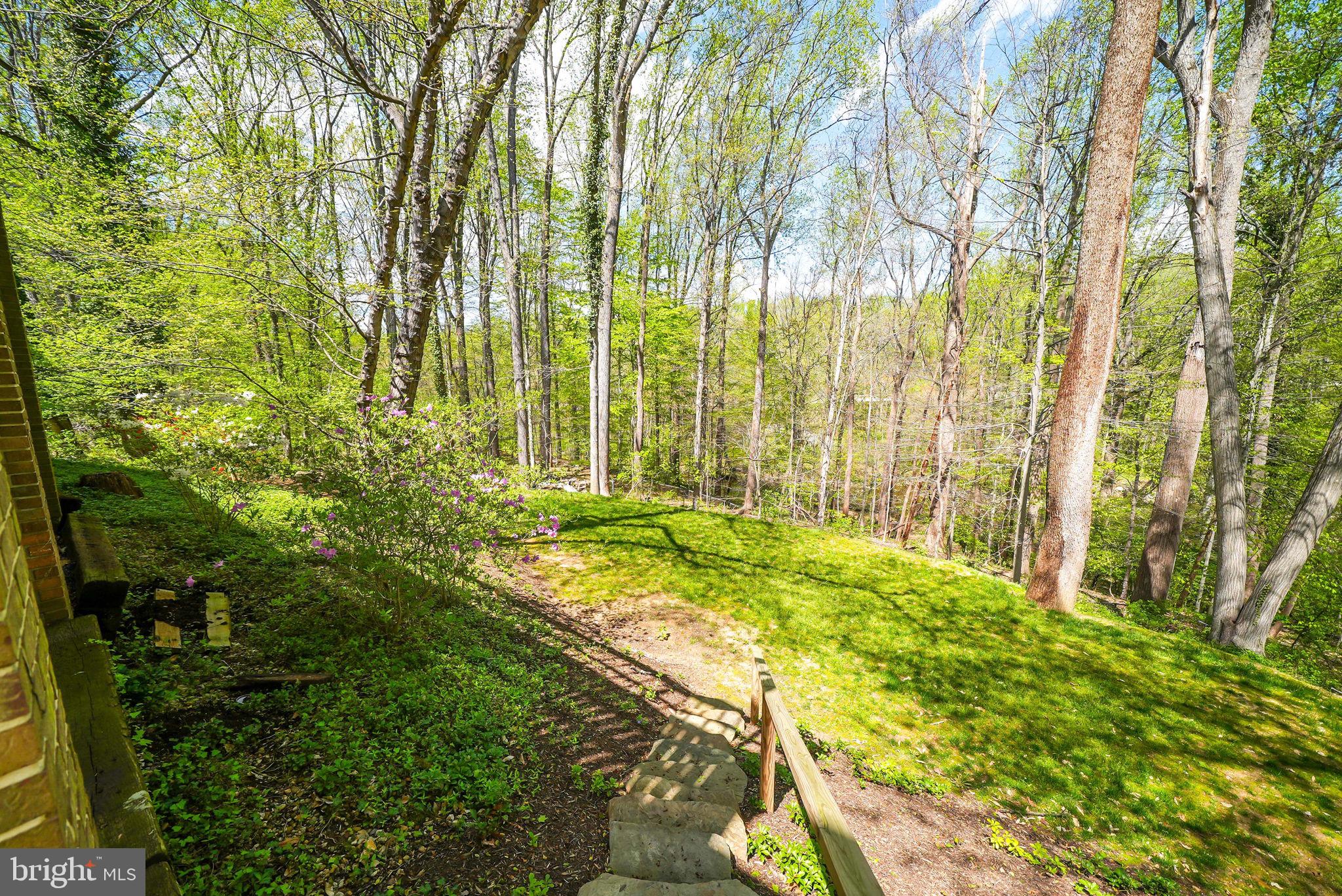 CHAIN BRIDGE FOREST - Residential