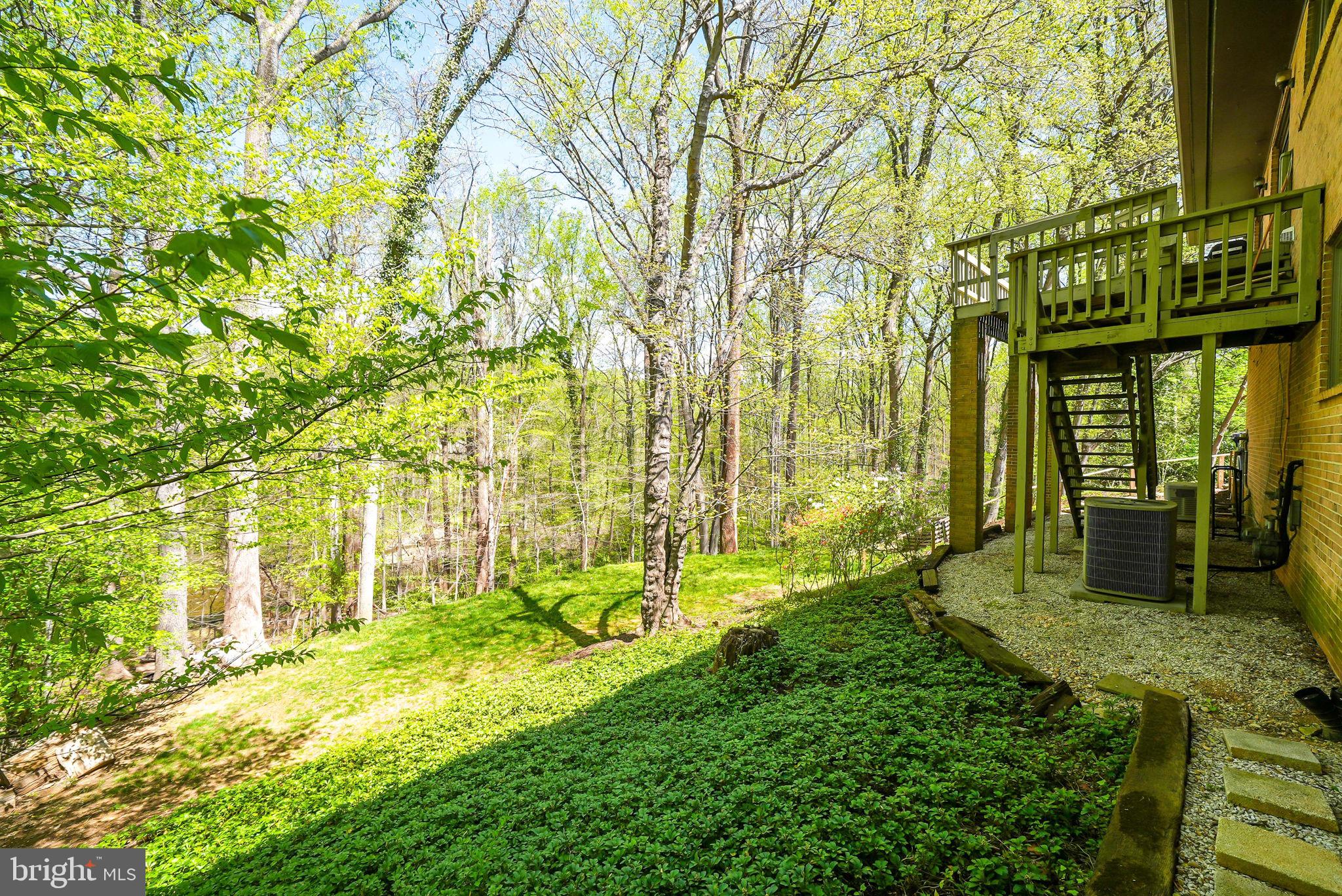 CHAIN BRIDGE FOREST - Residential