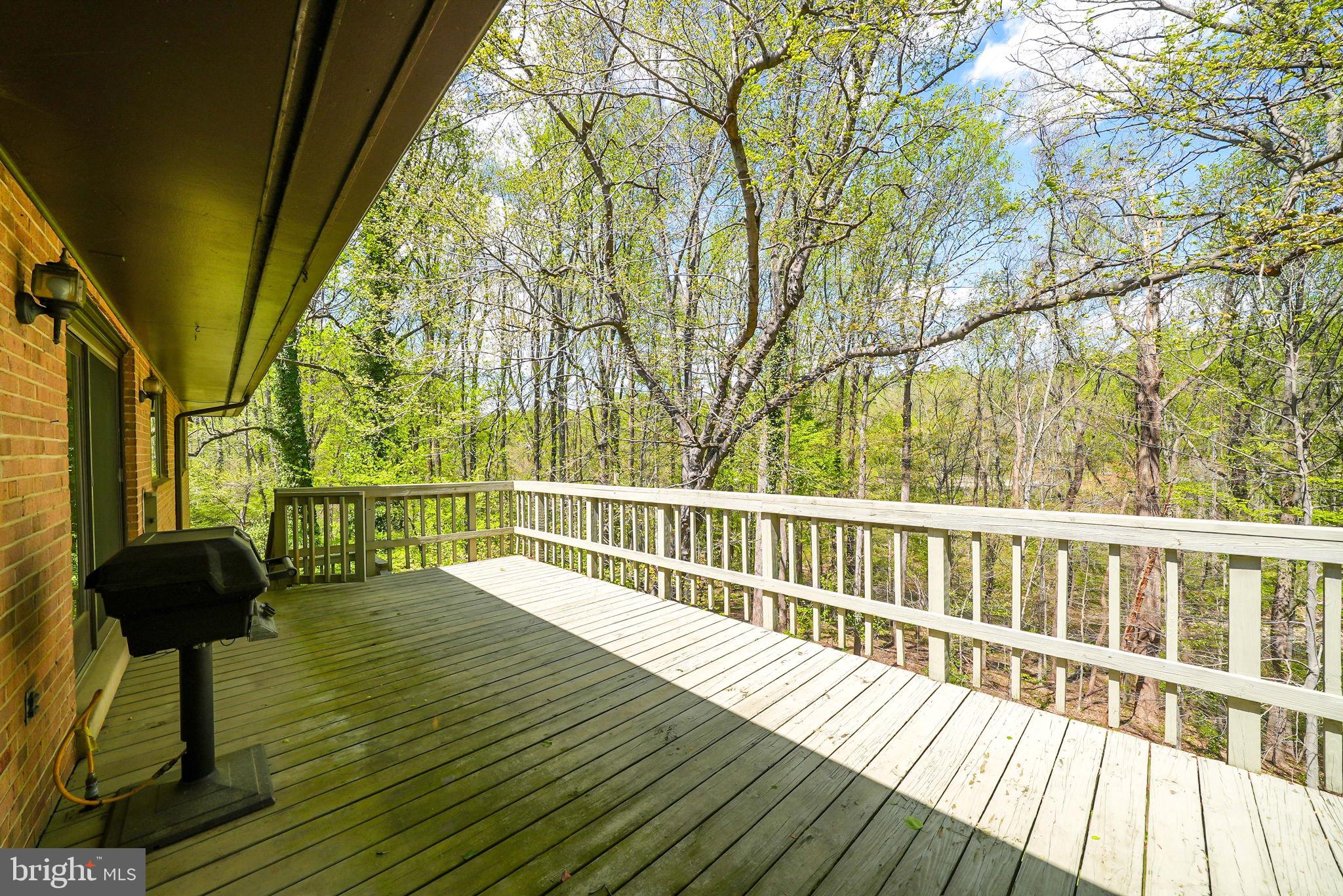 CHAIN BRIDGE FOREST - Residential
