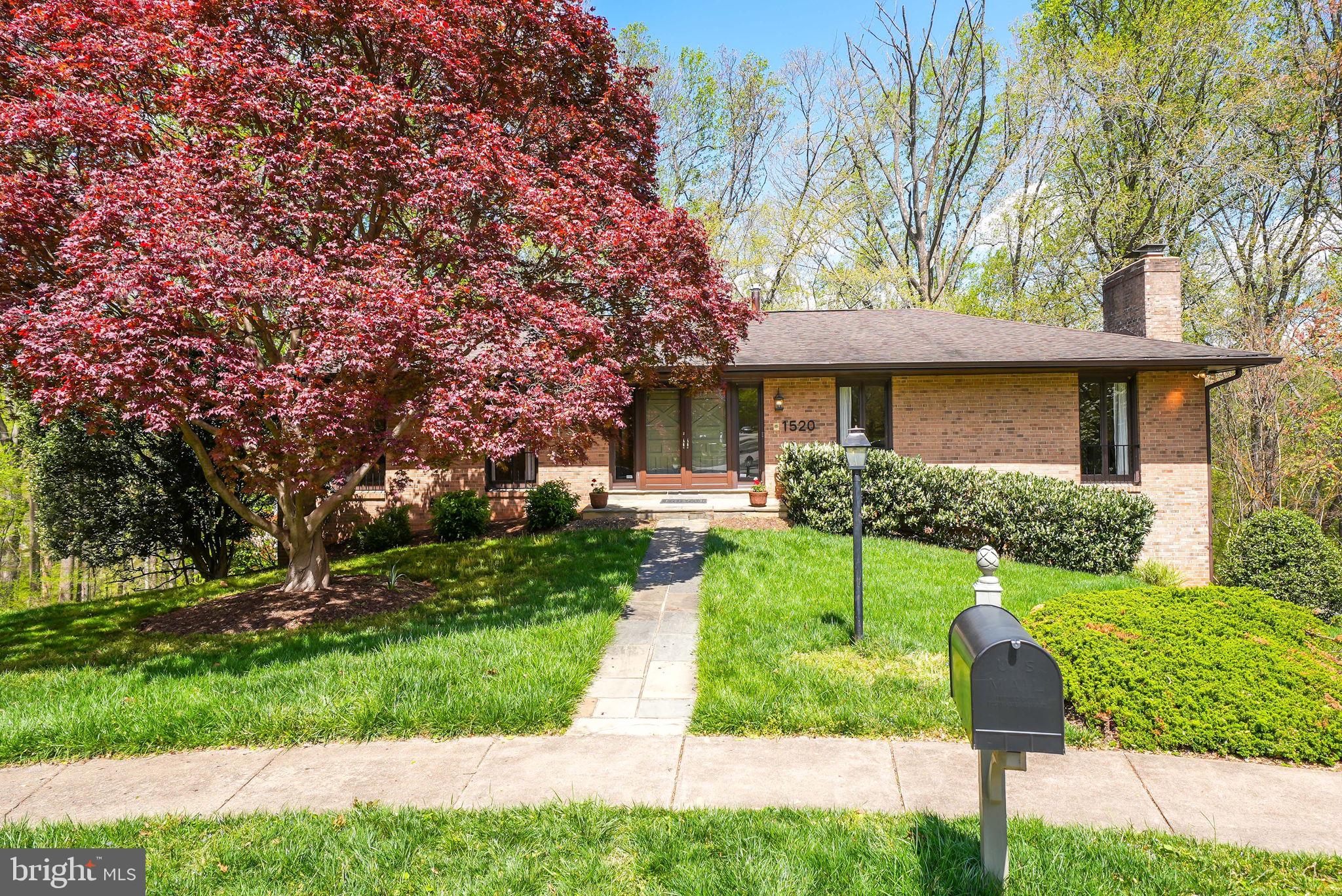 CHAIN BRIDGE FOREST - Residential